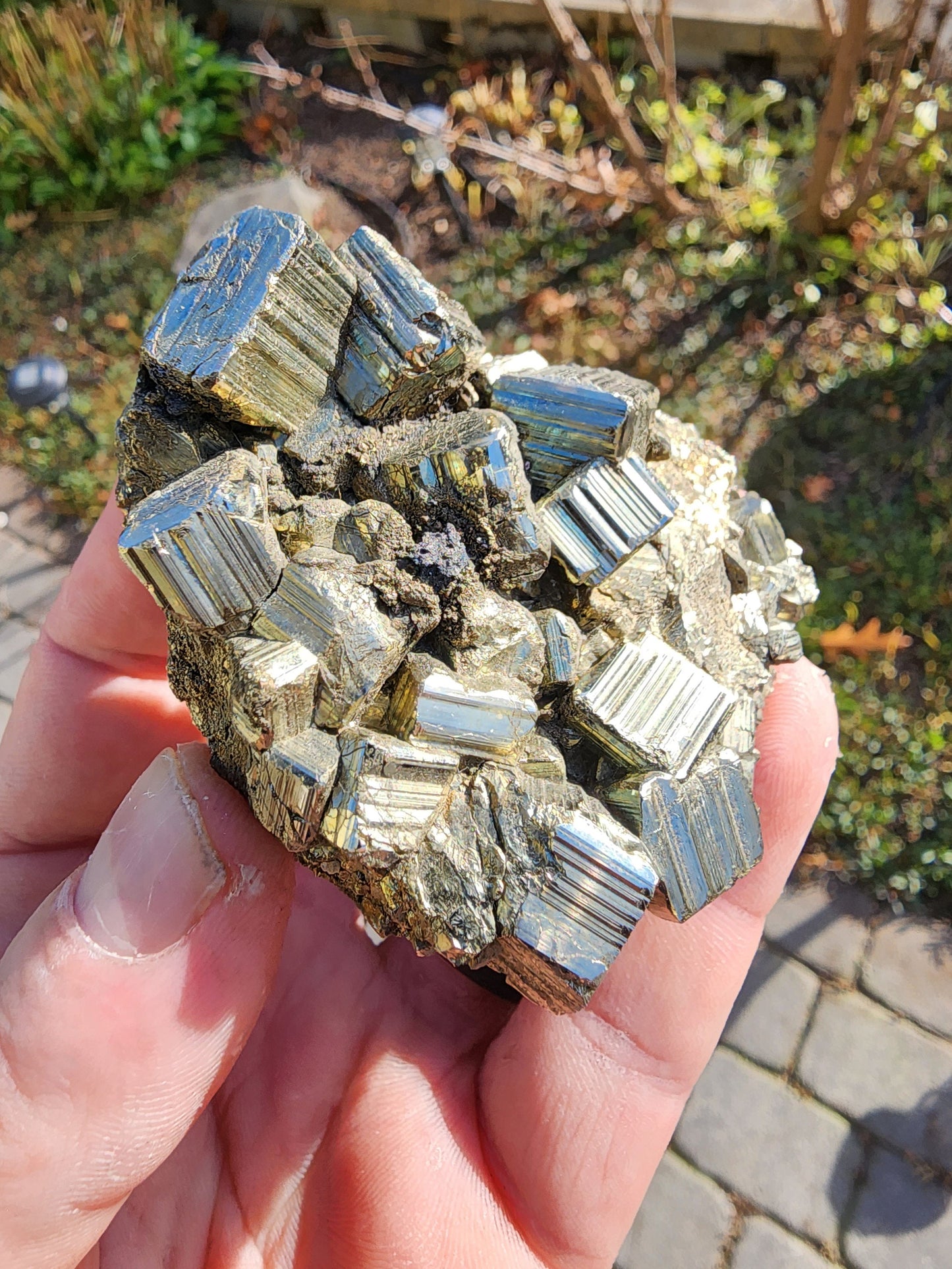 Pyrite Cluster from Concepcion del Oro, Mexico