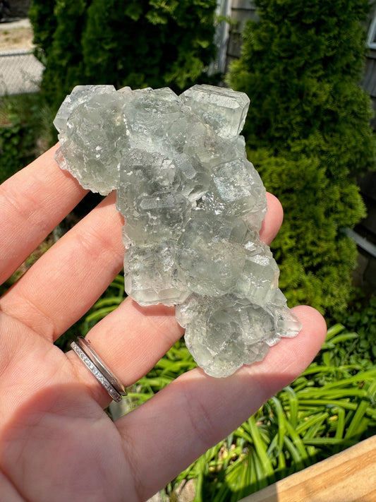 Cubic Pale Green Fluorite Cluster from China