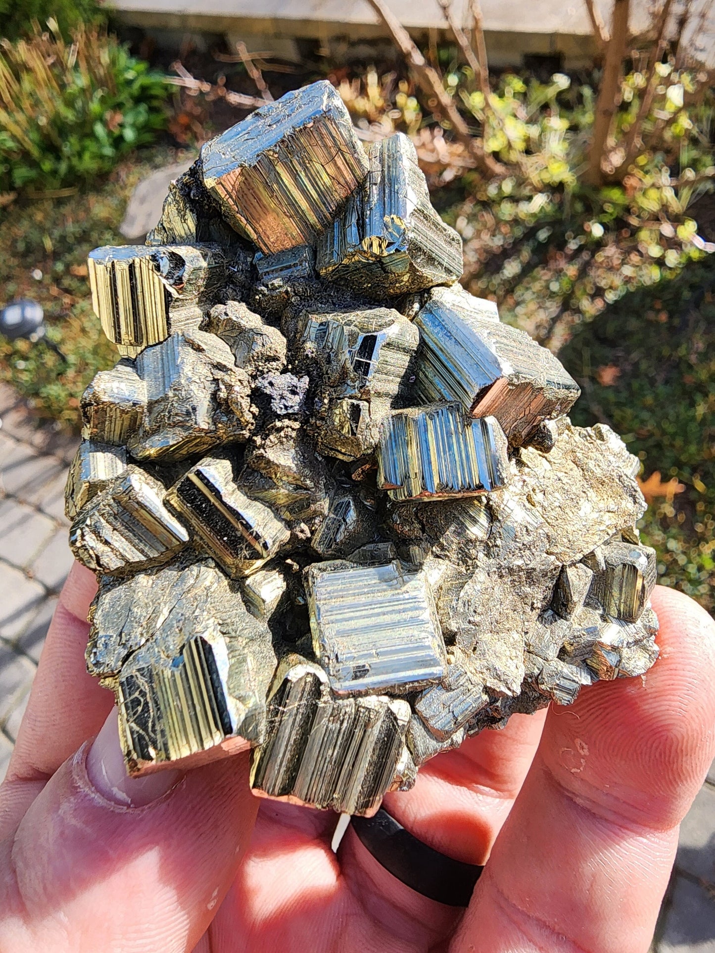 Pyrite Cluster from Concepcion del Oro, Mexico