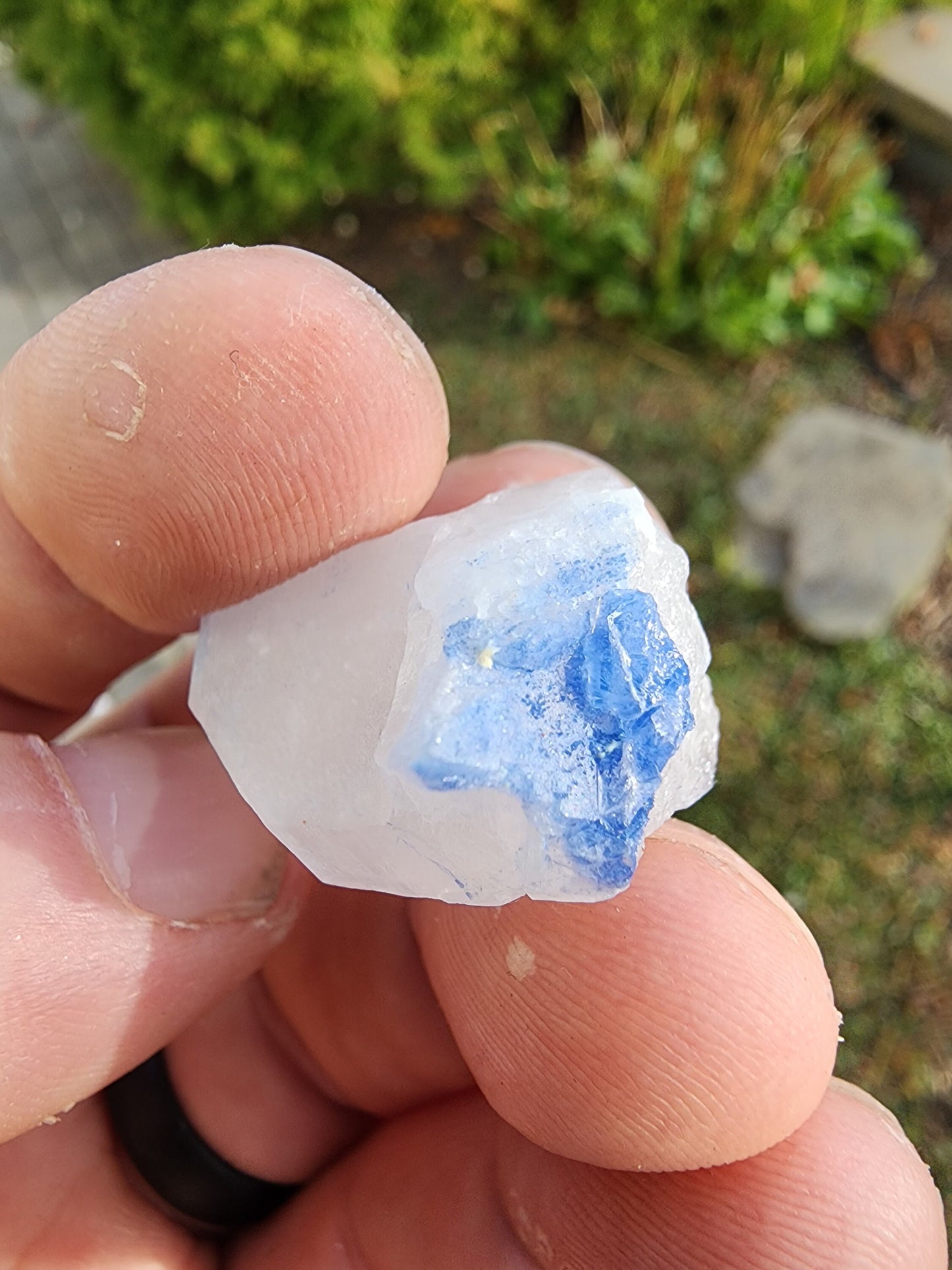 Quartz with Dumortierite Inclusions from Bahia, Brazil