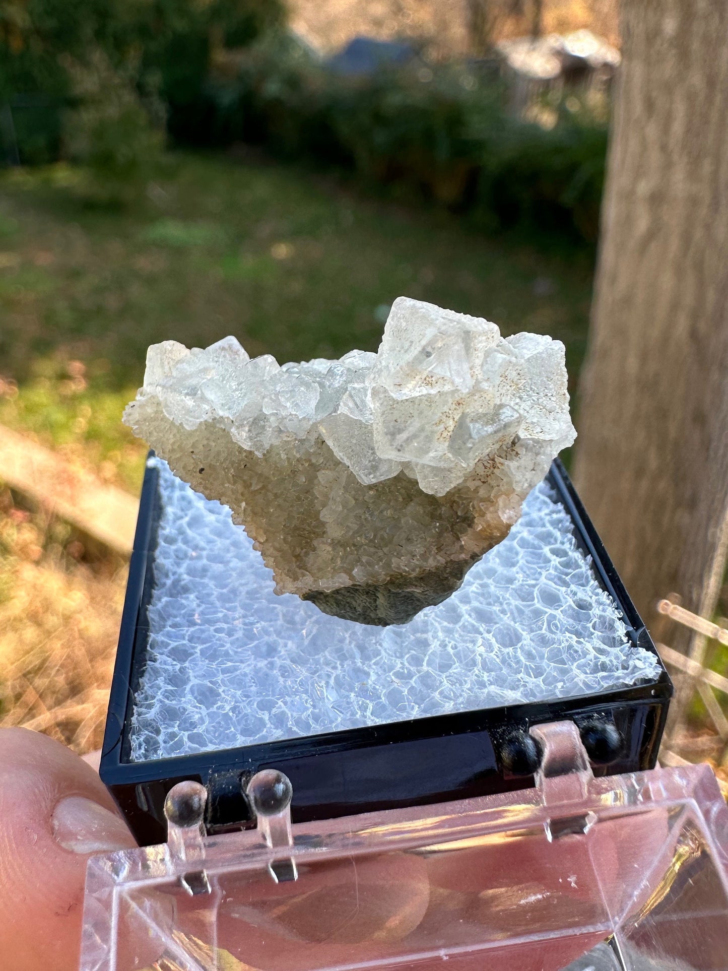 Fluorite Cluster from Alaska USA