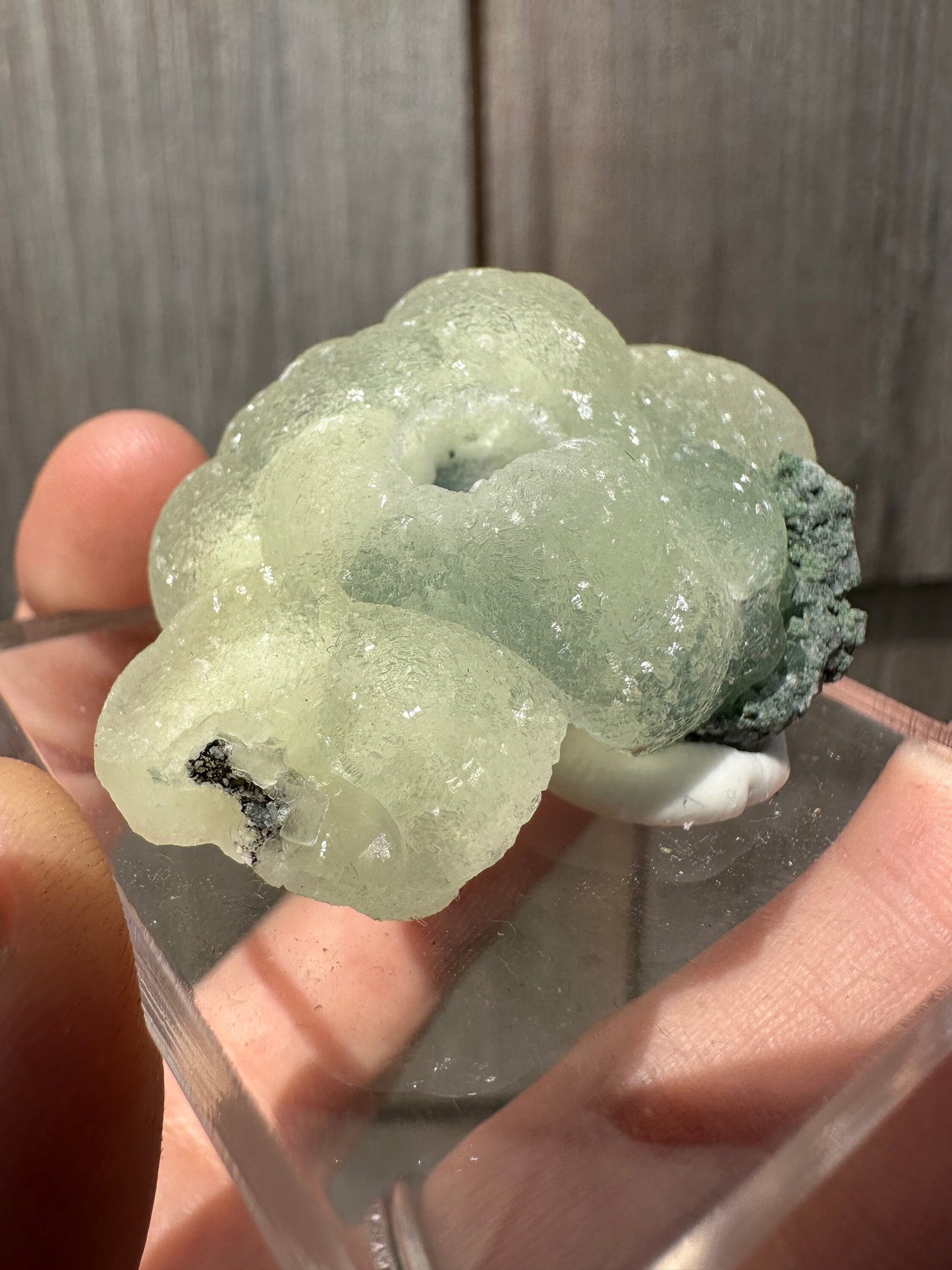 Prehnite from O&G Quarry Connecticut USA