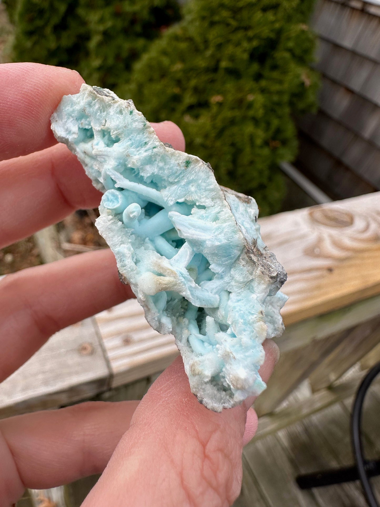 Flos Ferri Blue Aragonite from China