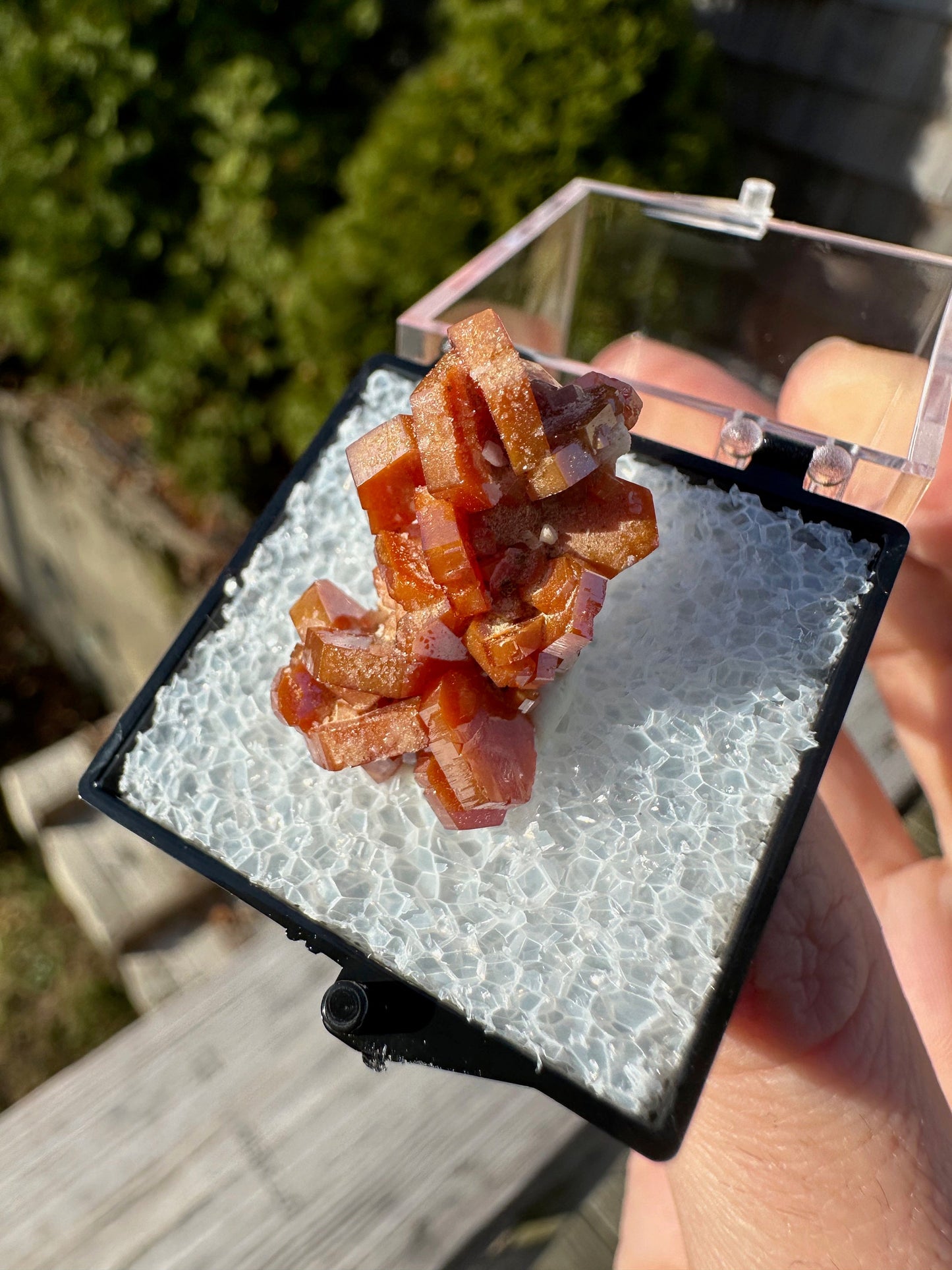 Vanadinite Crystal Cluster from Morocco