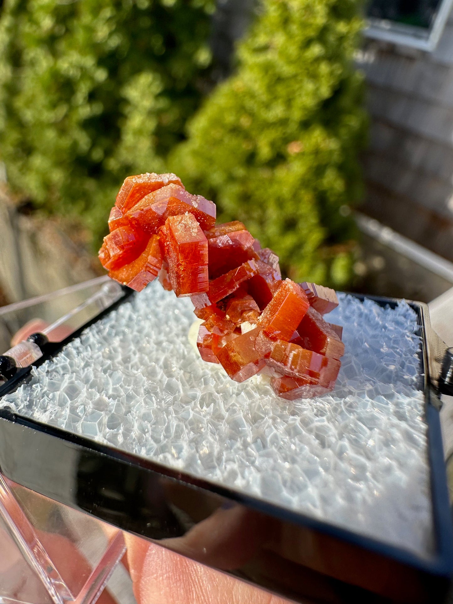 Vanadinite Crystal Cluster from Morocco