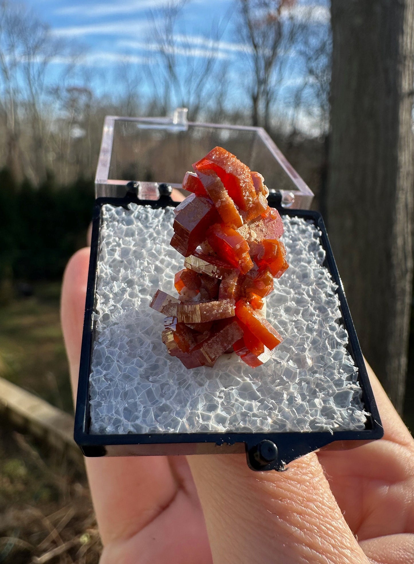 Vanadinite Crystal Cluster from Morocco