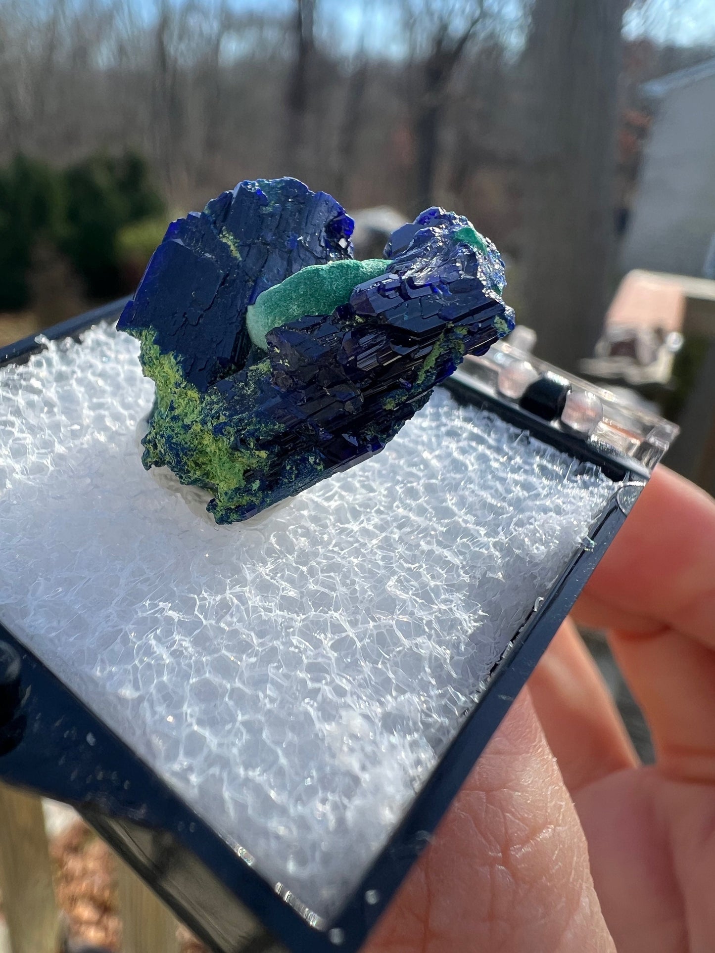 Azurite with Malachite from Tsumeb Mine Namibia