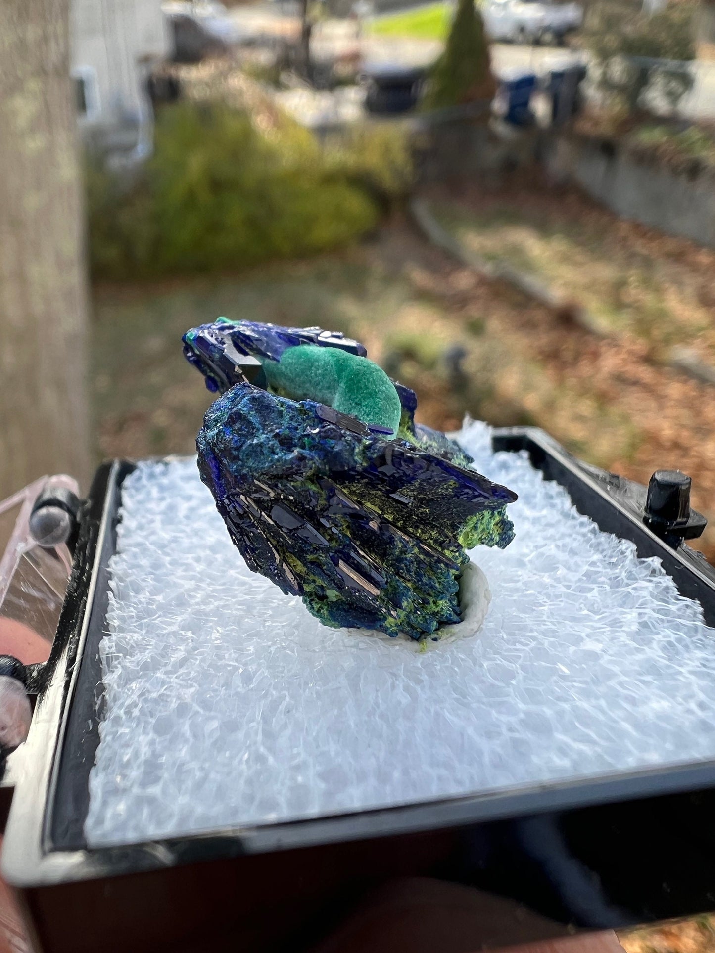 Azurite with Malachite from Tsumeb Mine Namibia