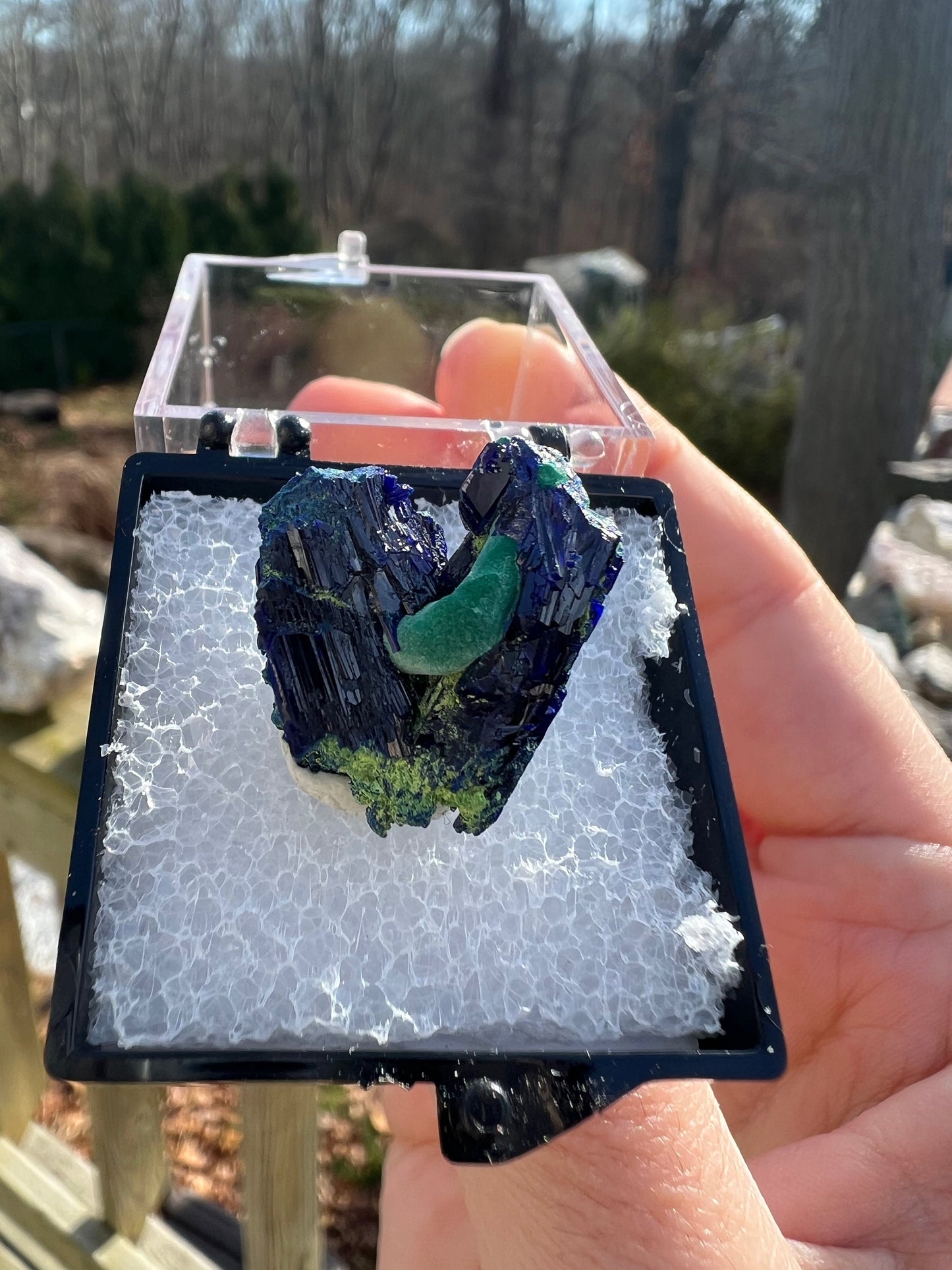 Azurite with Malachite from Tsumeb Mine Namibia