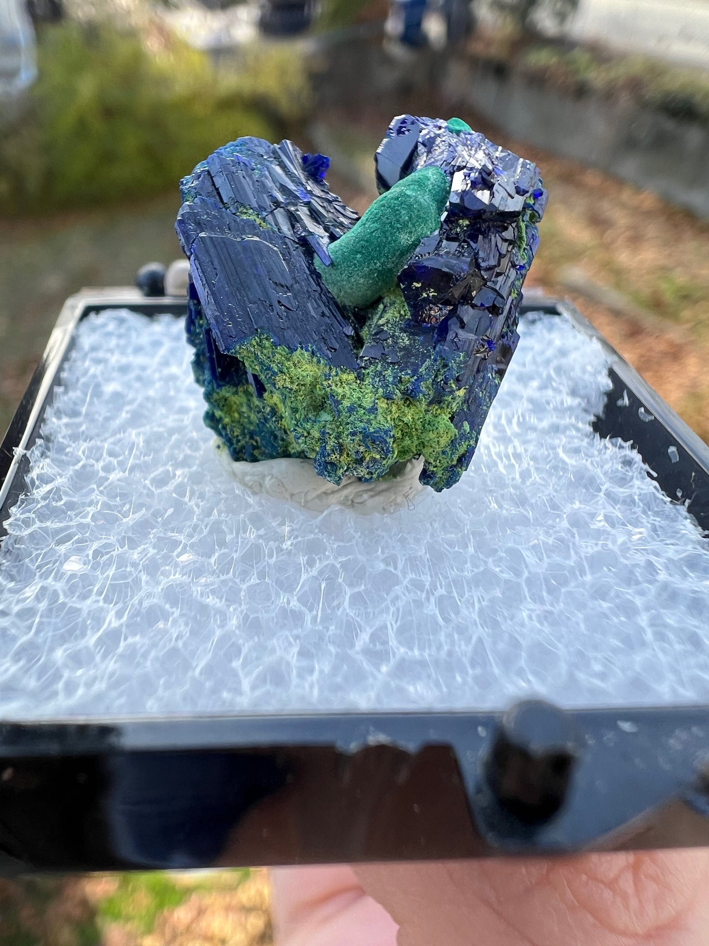 Azurite with Malachite from Tsumeb Mine Namibia