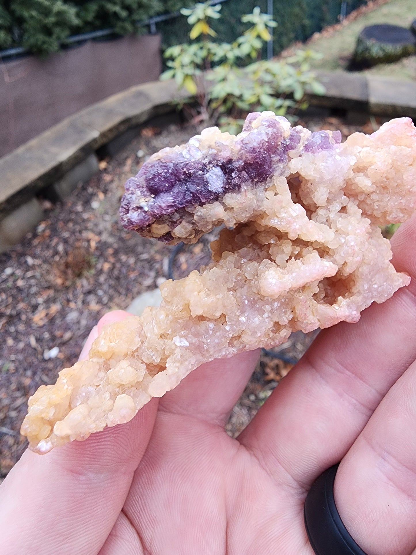 Lepidolite with Tourmaline on Cookeite from Minas Gerais, Brazil