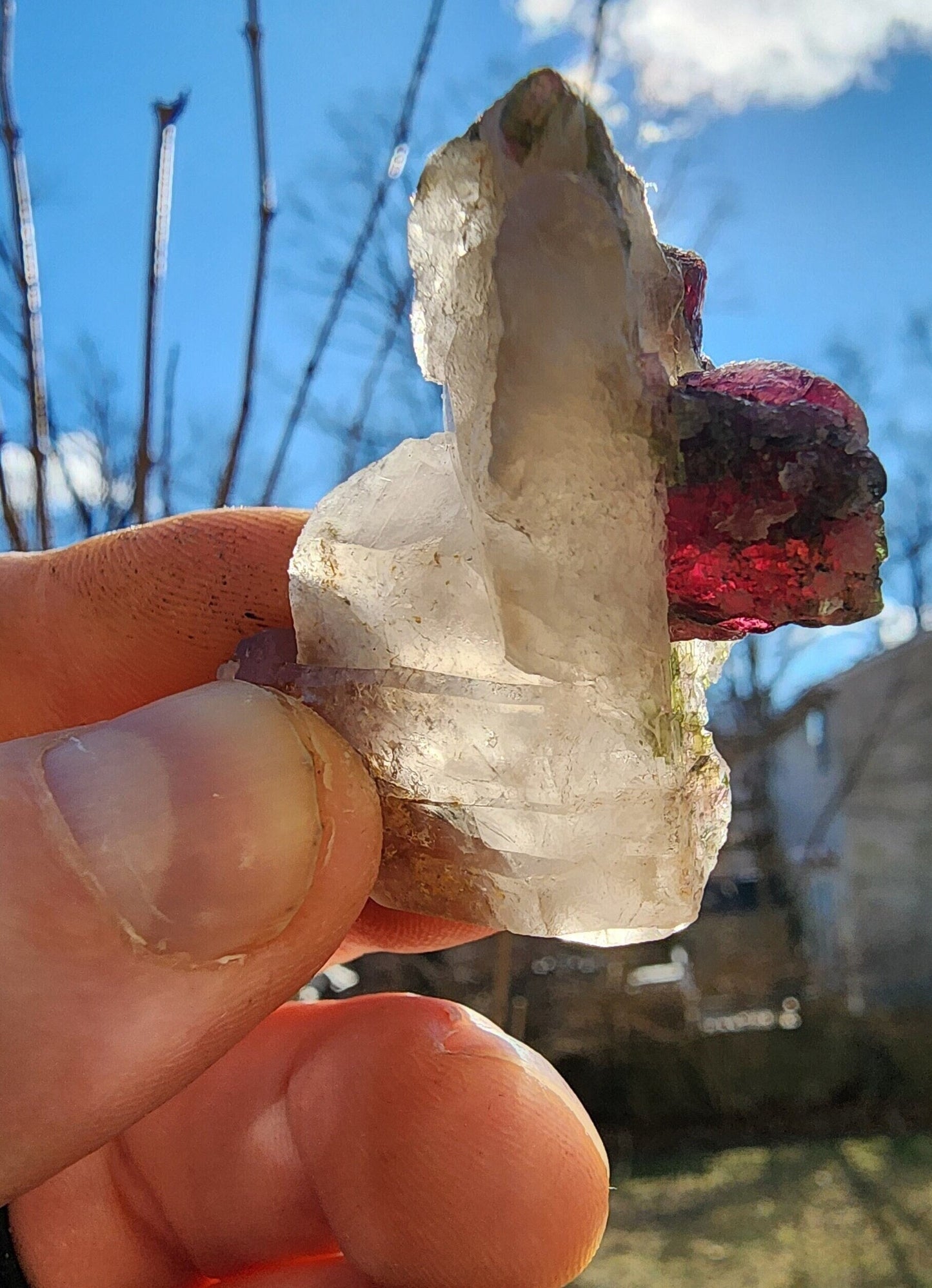 Watermelon Tourmaline in a Quartz Cluster from Minas Gerais, Brazil