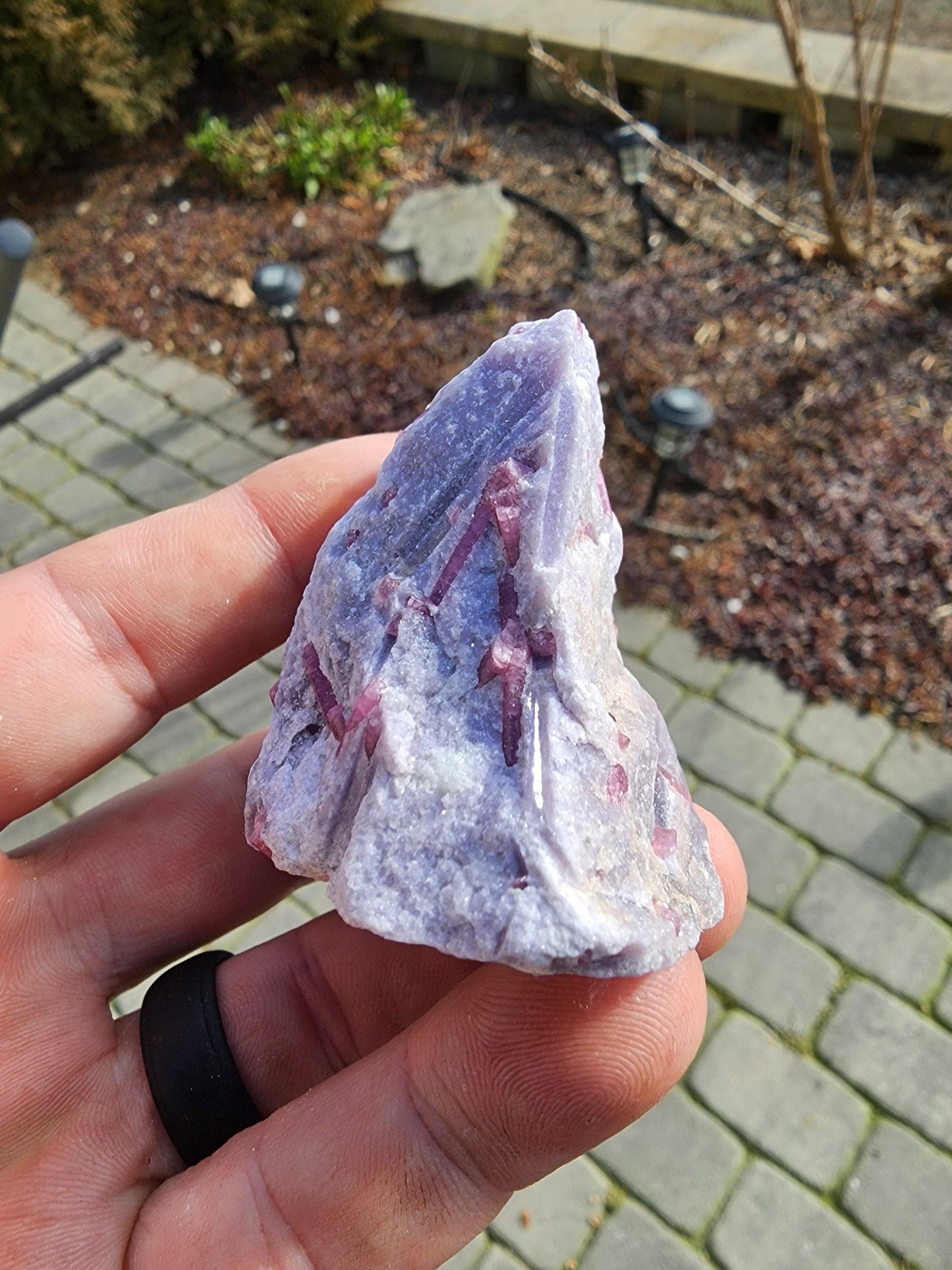 Pink Tourmaline in Lepidolite from California USA
