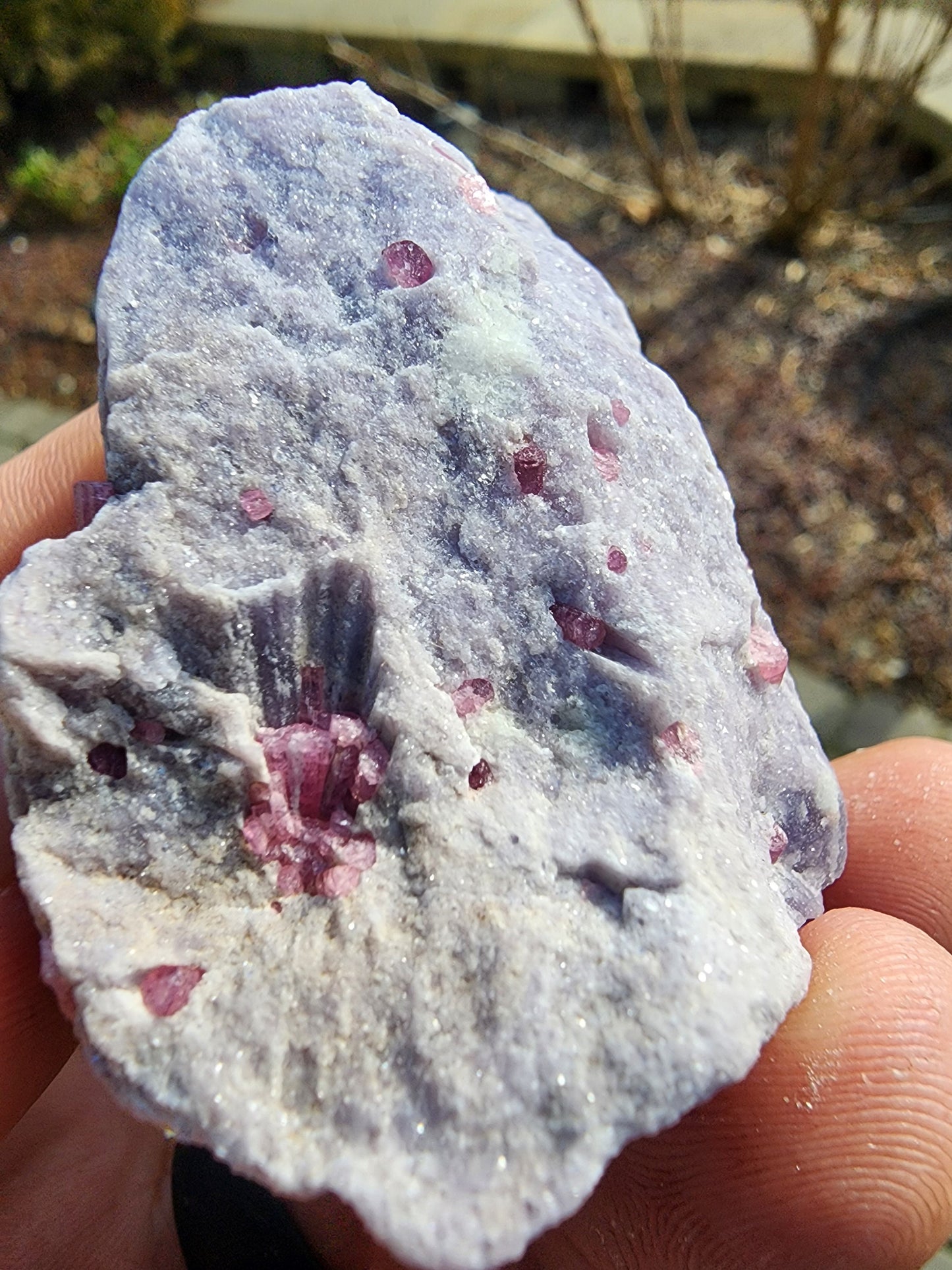 Pink Tourmaline in Lepidolite from California USA