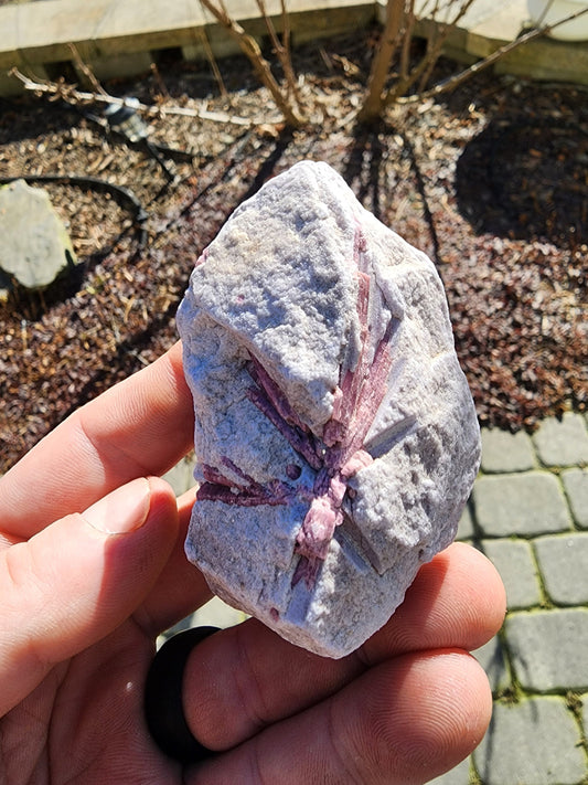 Pink Tourmaline in Lepidolite from California USA