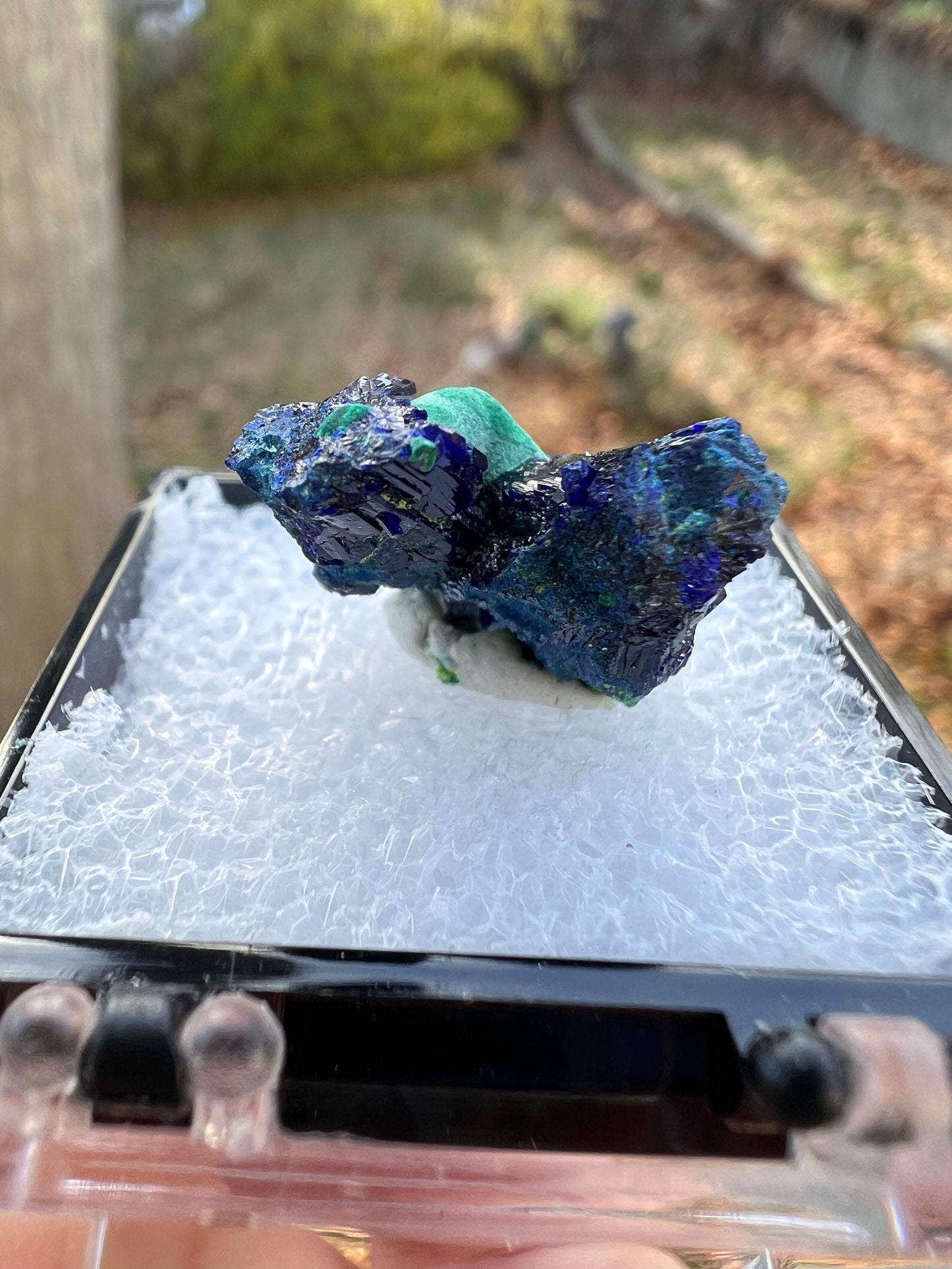 Azurite with Malachite from Tsumeb Mine Namibia