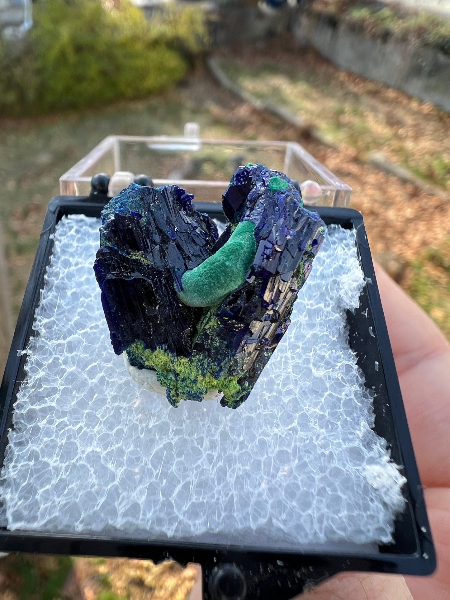 Azurite with Malachite from Tsumeb Mine Namibia