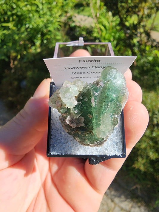 Unaweep Canyon Fluorite Crystal Cluster Mesa, Colorado