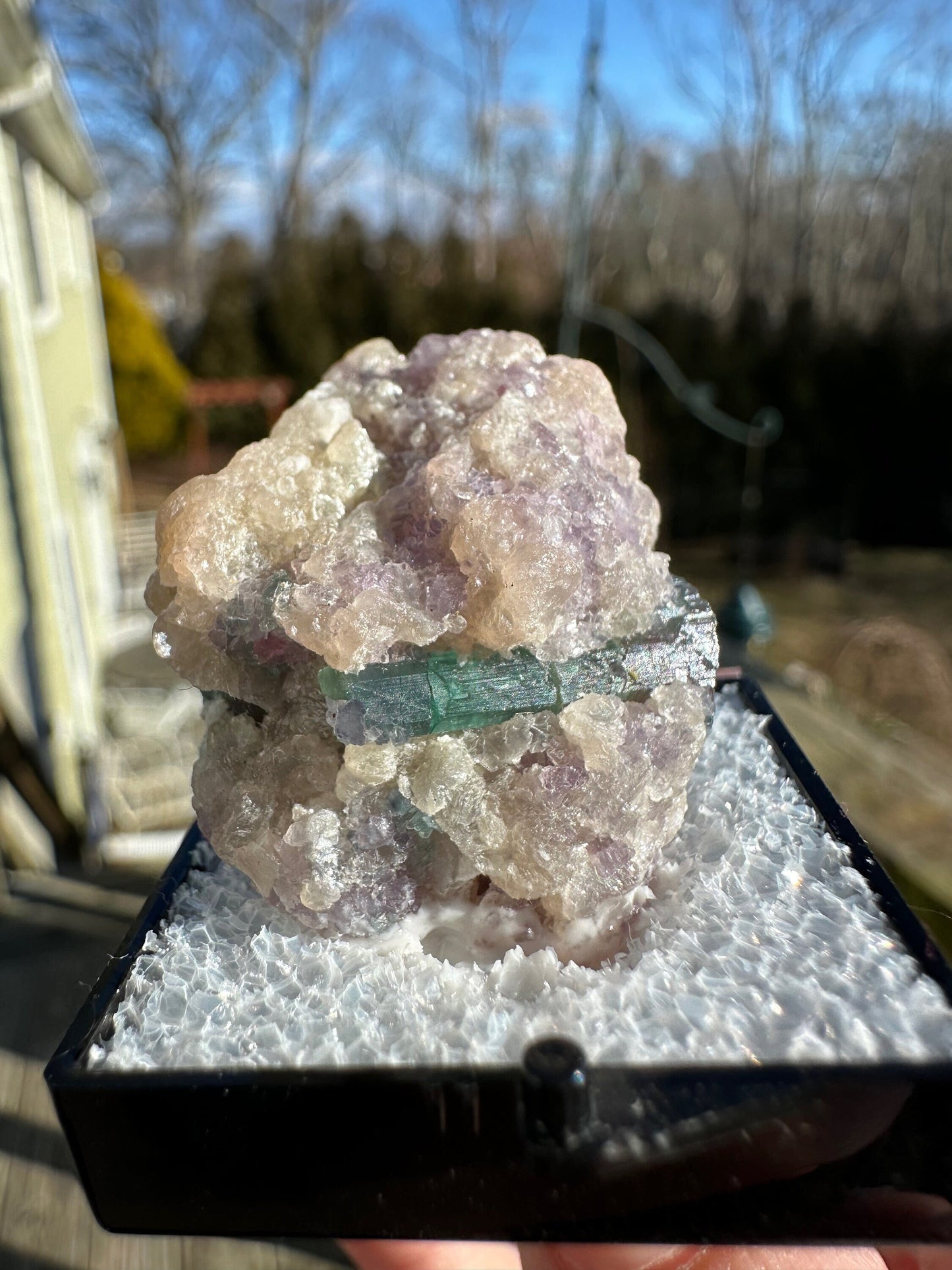 Watermelon Tourmaline with Lepidolite from Brazil