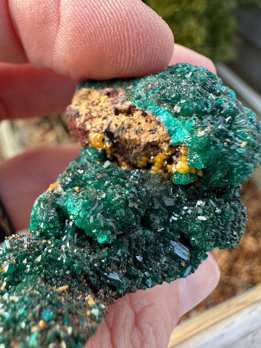 Dioptase with Mimetite from Congo