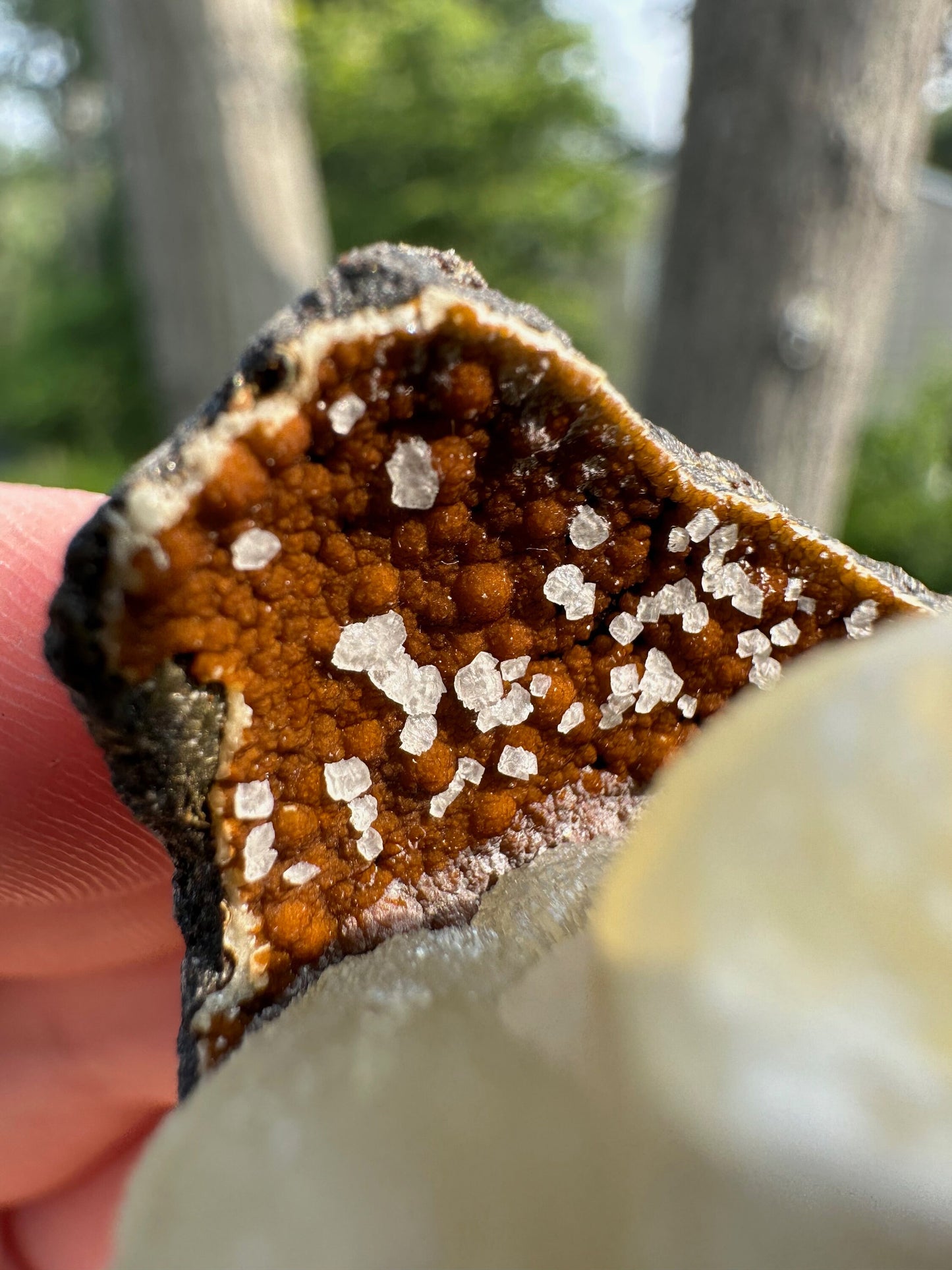 Botryoidal Calcite Crystals on Matrix from China