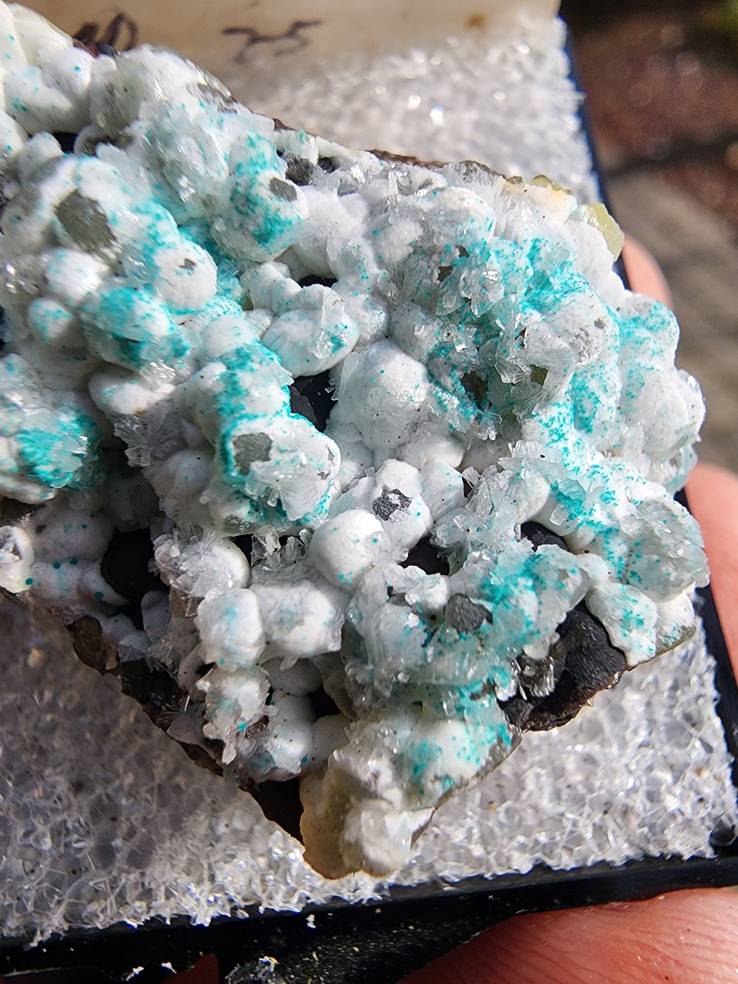 Smithsonite with Rosasite from 79 Mine, Arizona
