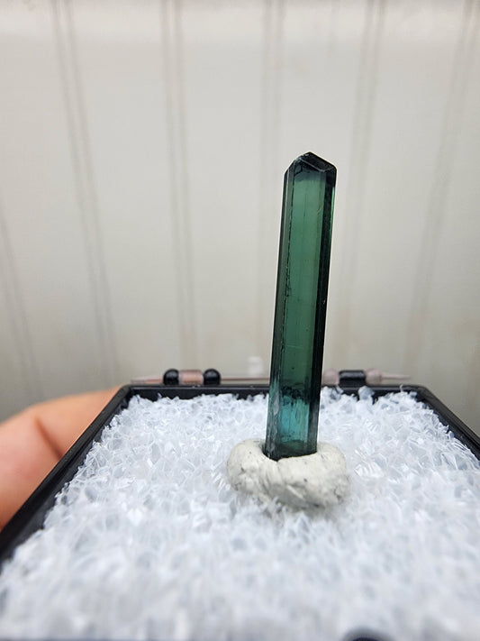 Tourmaline Crystal from Aricanga mine, Minas Gerais, Brazil