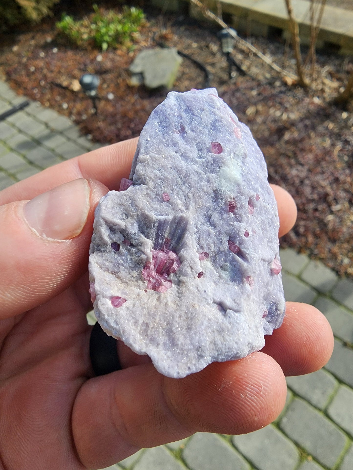 Pink Tourmaline in Lepidolite from California USA