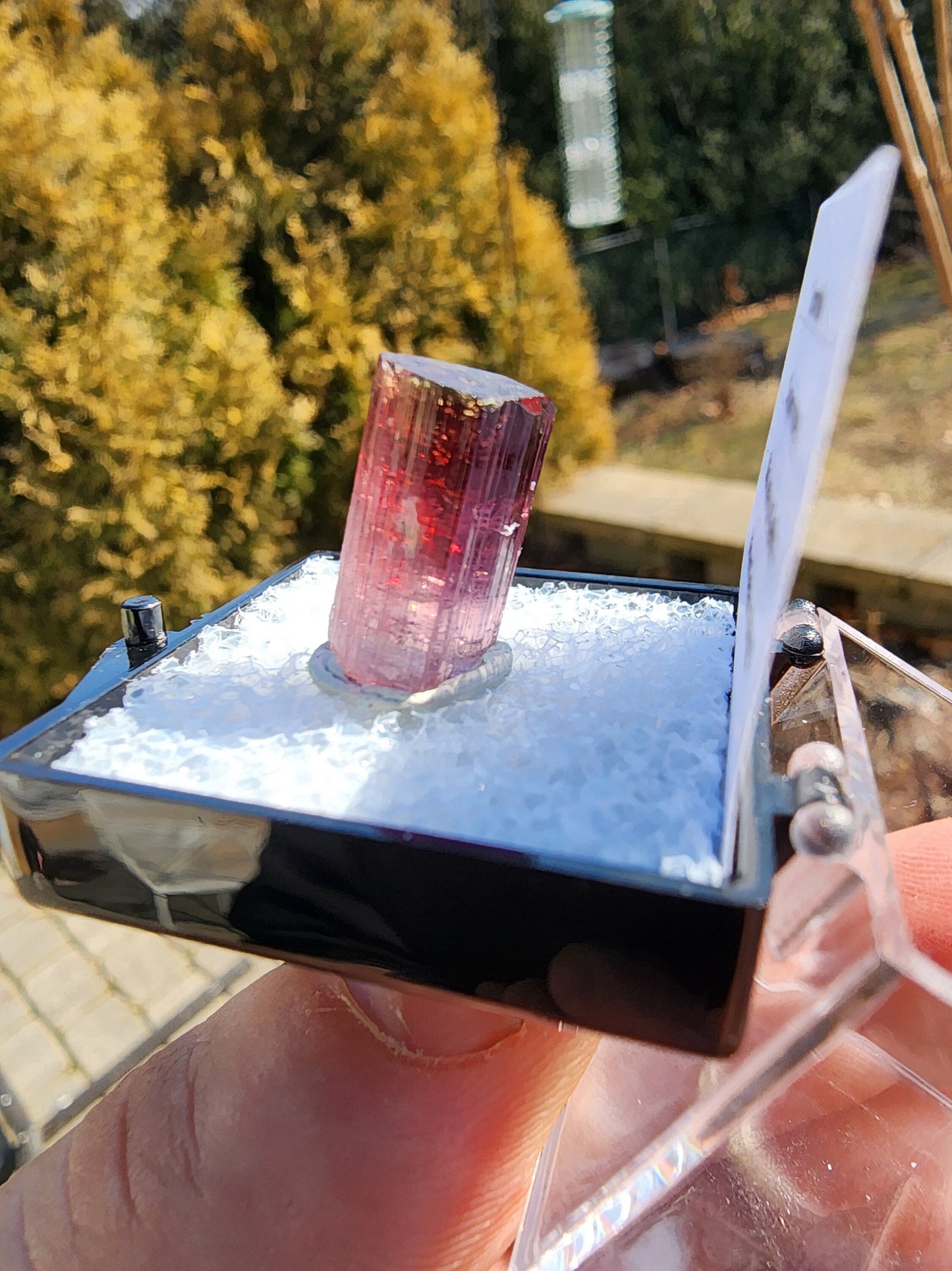 Bi-colored Rubellite Tourmaline Crystal from Cruzeiro Mine, Minas Gerais, Brazil