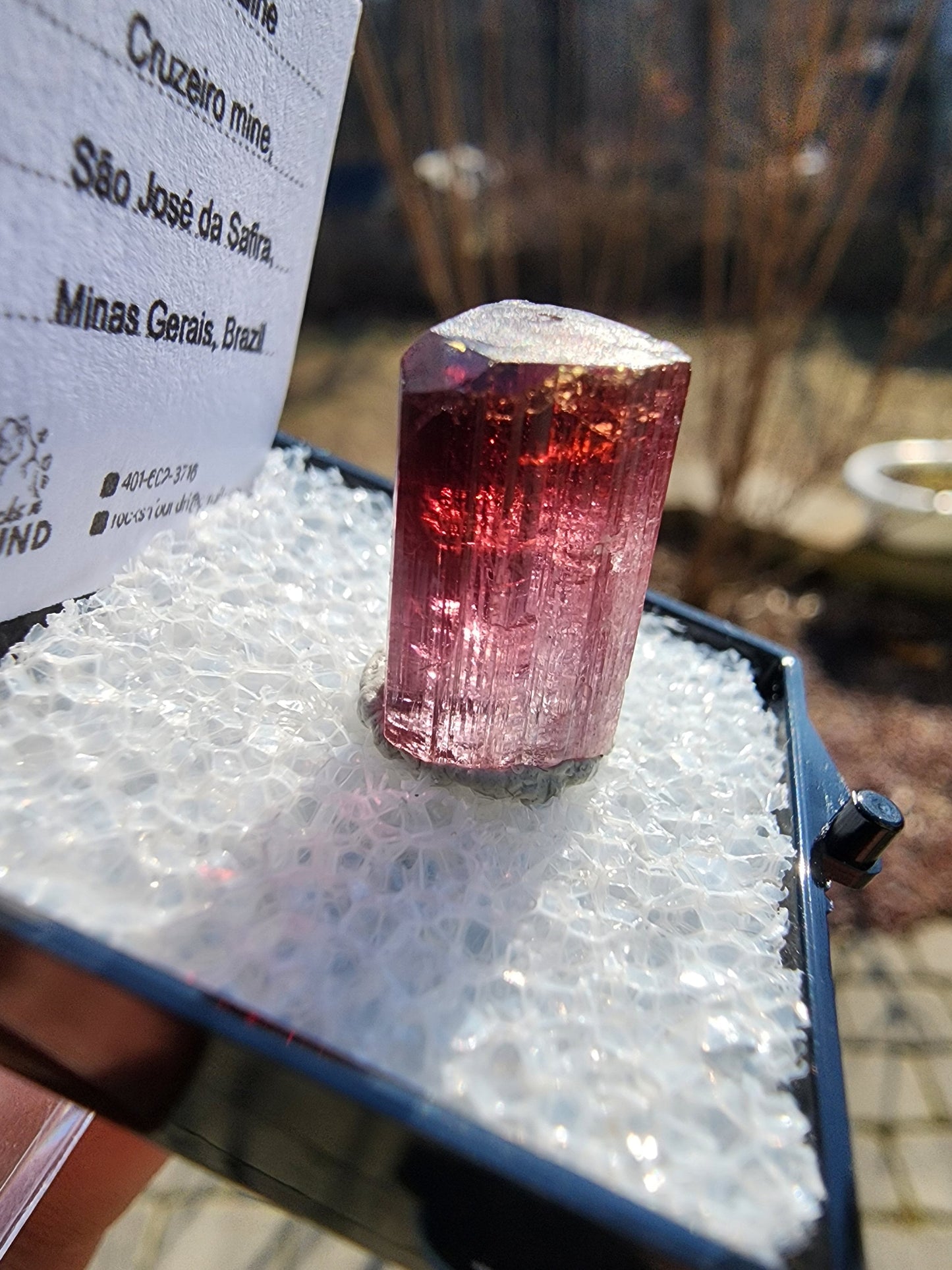 Bi-colored Rubellite Tourmaline Crystal from Cruzeiro Mine, Minas Gerais, Brazil