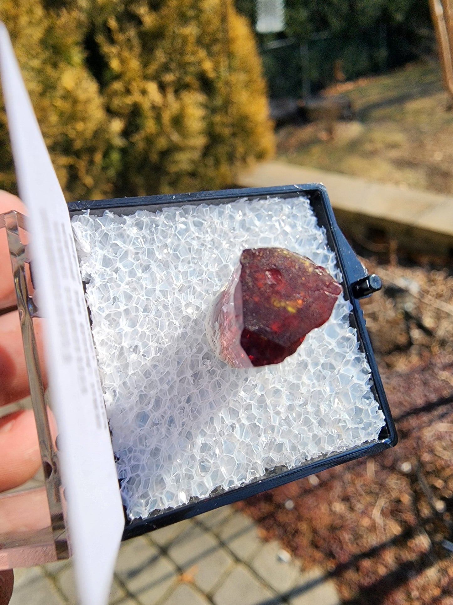 Bi-colored Rubellite Tourmaline Crystal from Cruzeiro Mine, Minas Gerais, Brazil