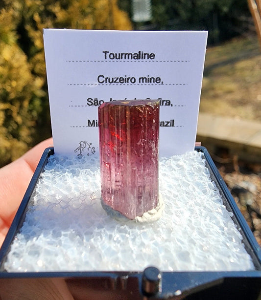 Bi-colored Rubellite Tourmaline Crystal from Cruzeiro Mine, Minas Gerais, Brazil