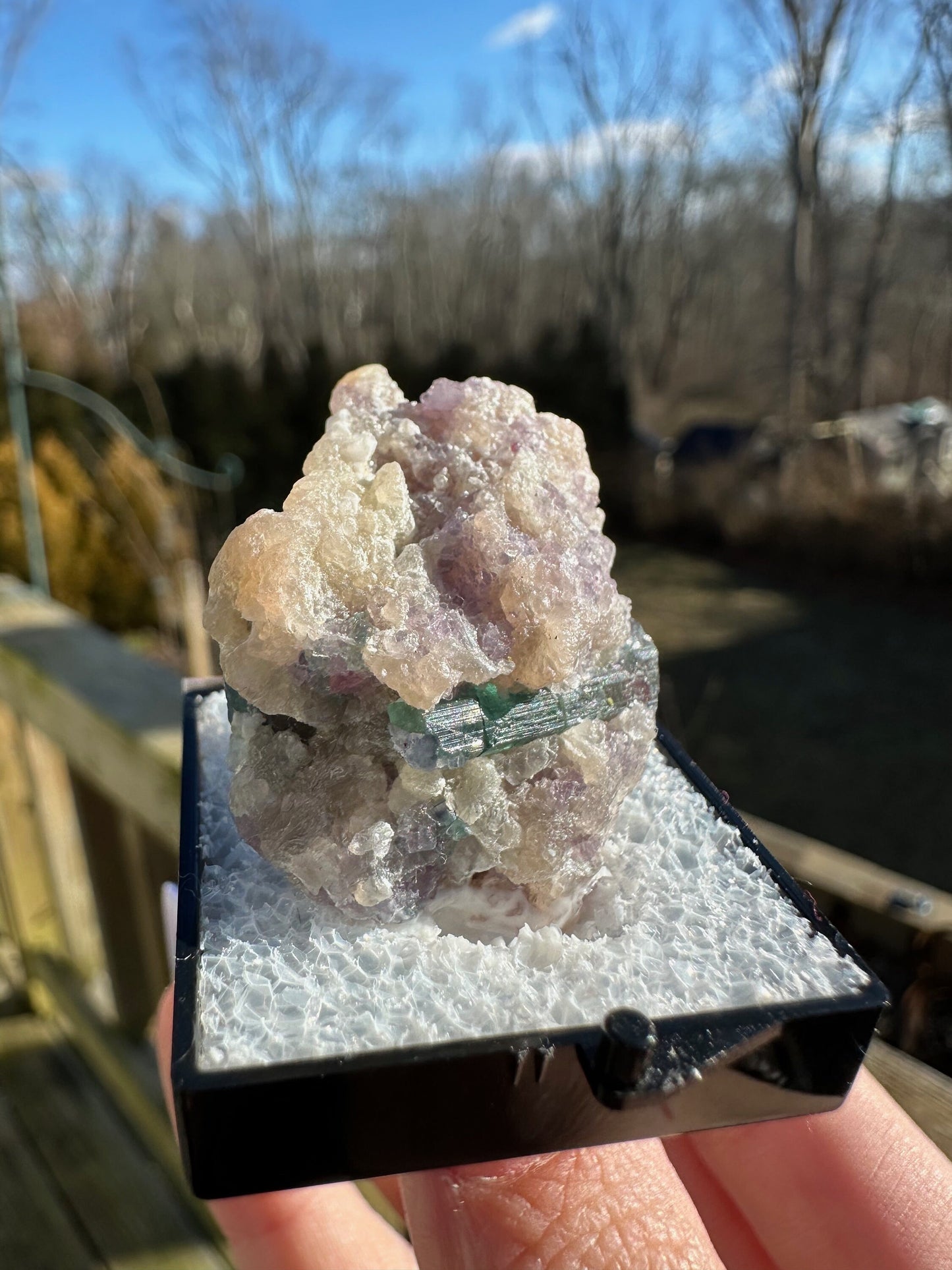 Watermelon Tourmaline with Lepidolite from Brazil