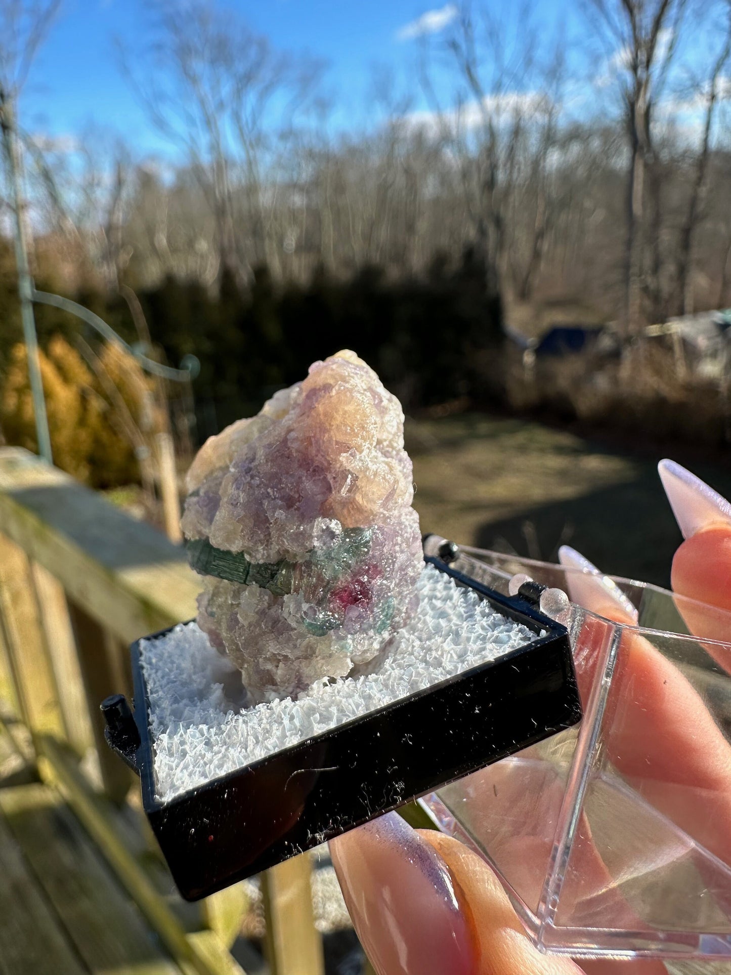 Watermelon Tourmaline with Lepidolite from Brazil