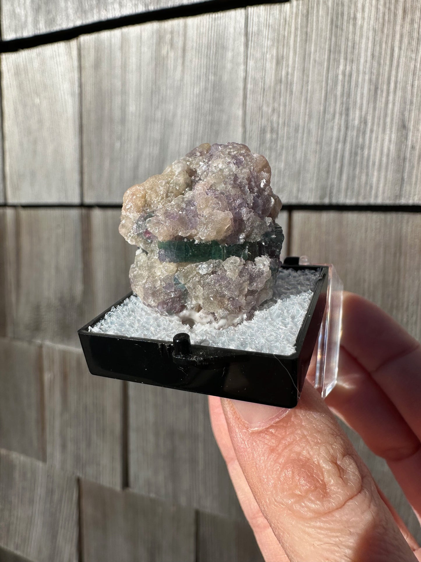 Watermelon Tourmaline with Lepidolite from Brazil