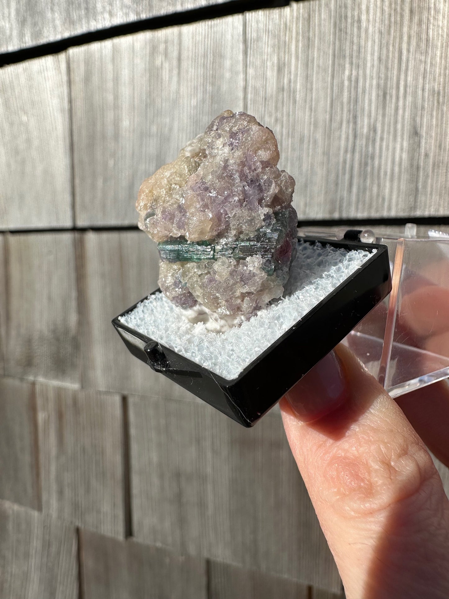 Watermelon Tourmaline with Lepidolite from Brazil