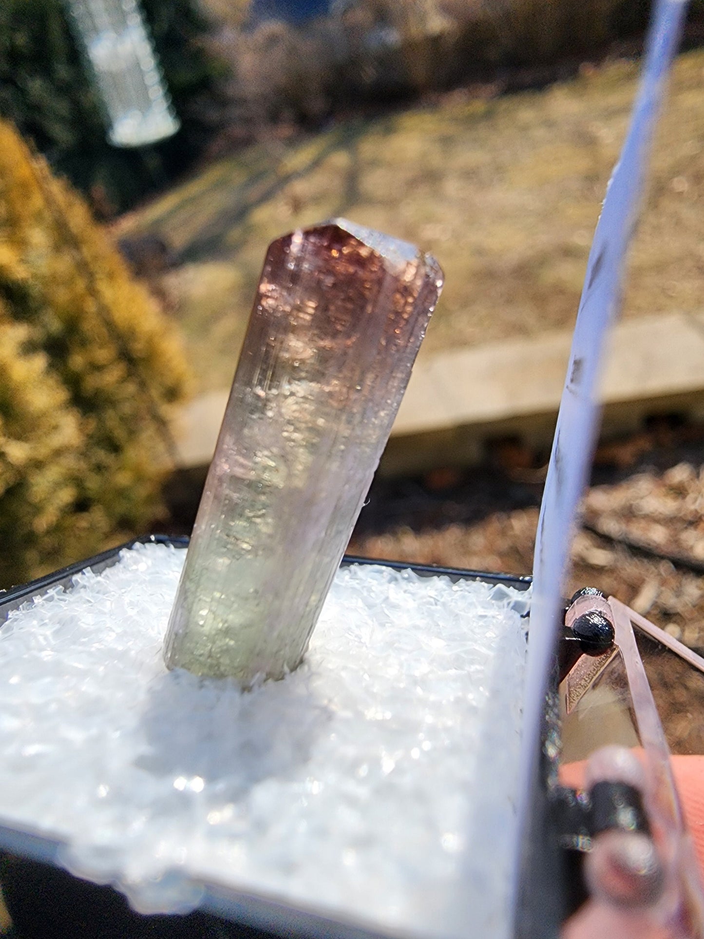 Tourmaline Crystal from Cruzeiro mine, Minas Gerais, Brazil