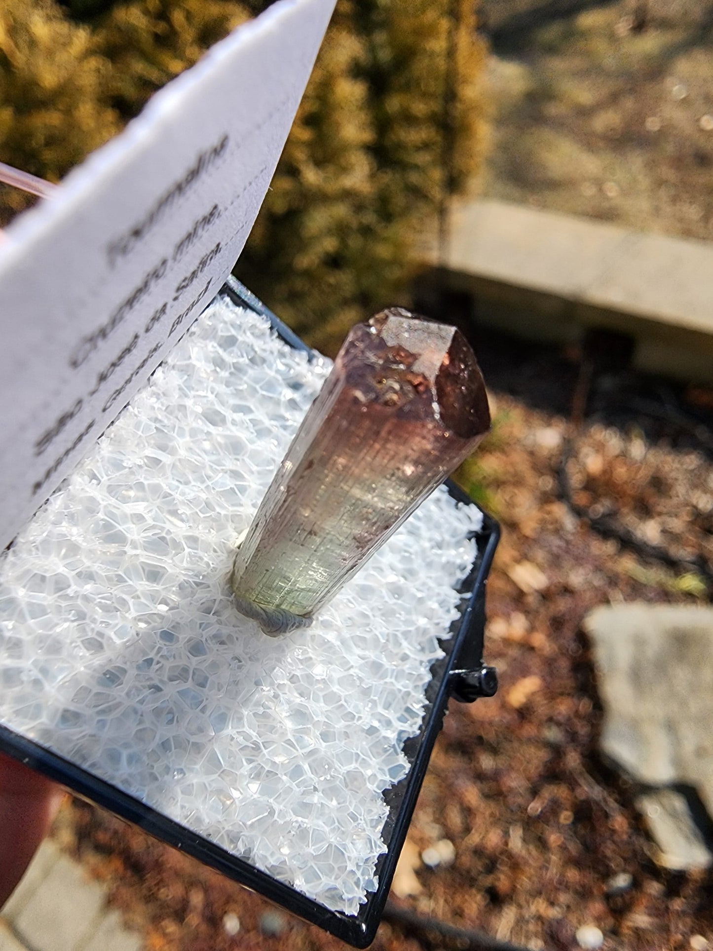 Tourmaline Crystal from Cruzeiro mine, Minas Gerais, Brazil