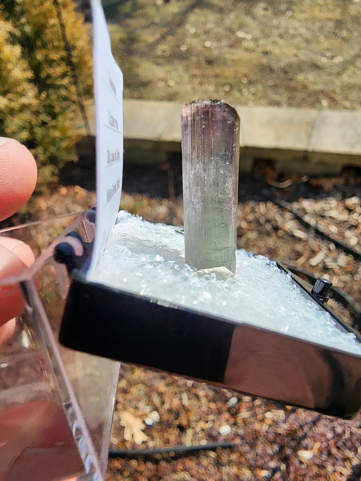Tourmaline Crystal from Cruzeiro mine, Minas Gerais, Brazil