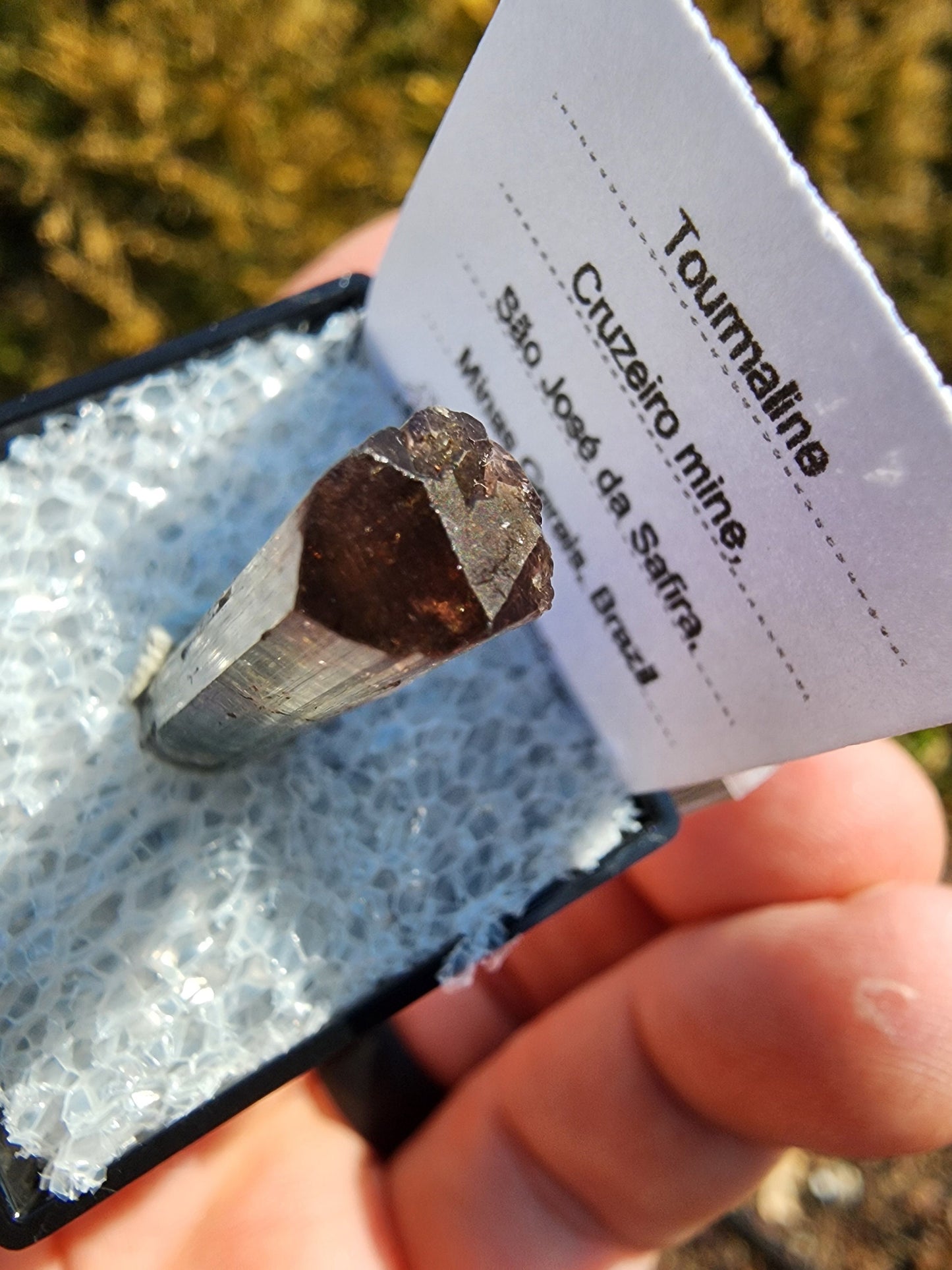 Tourmaline Crystal from Cruzeiro mine, Minas Gerais, Brazil