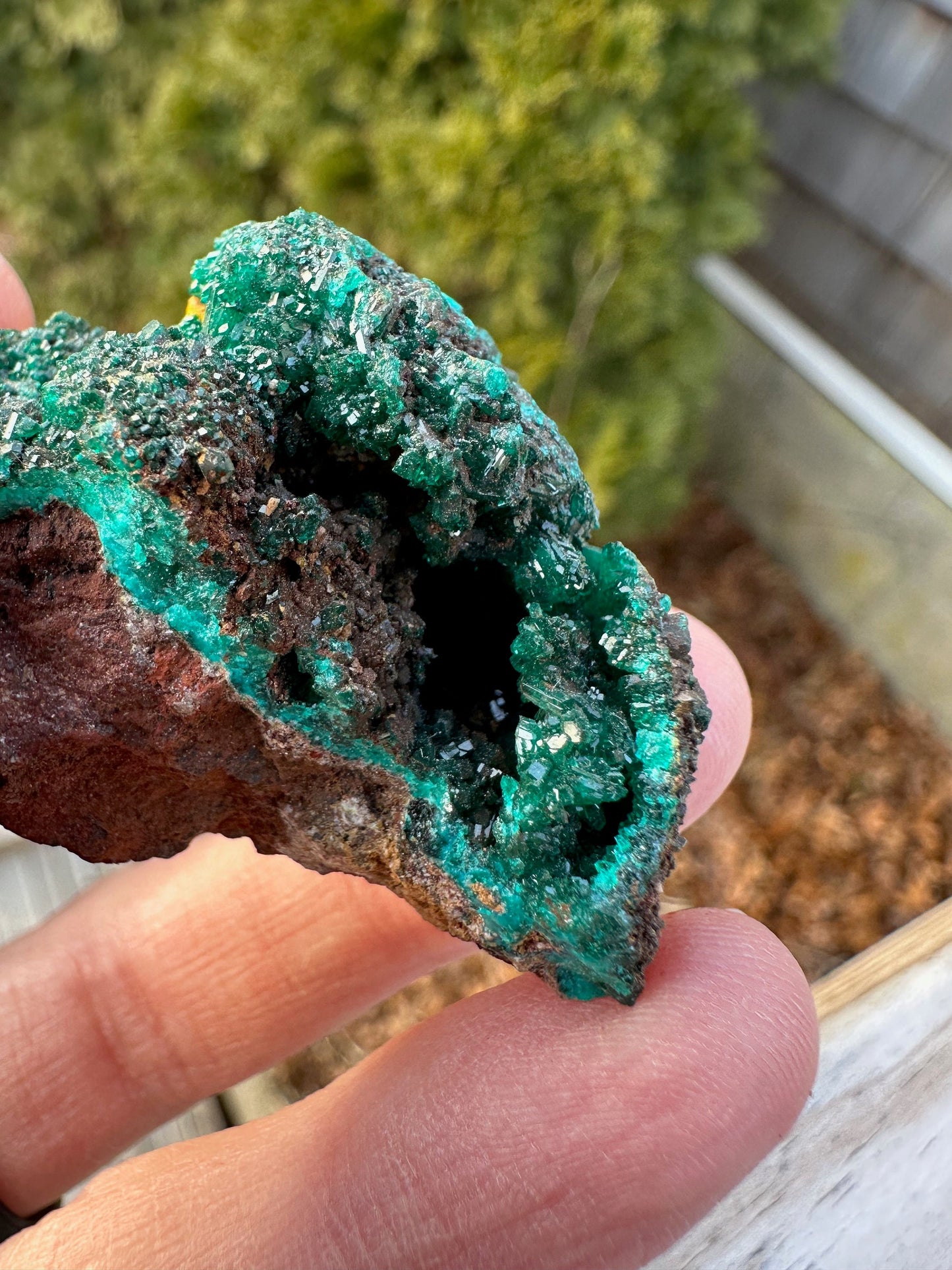 Dioptase with Mimetite from Congo