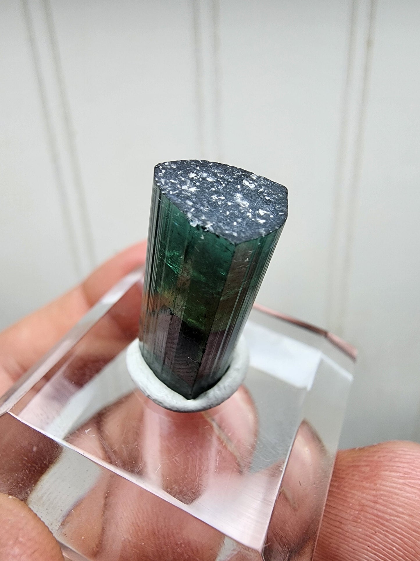 Tourmaline Crystal from Aricanga mine, Minas Gerais, Brazil