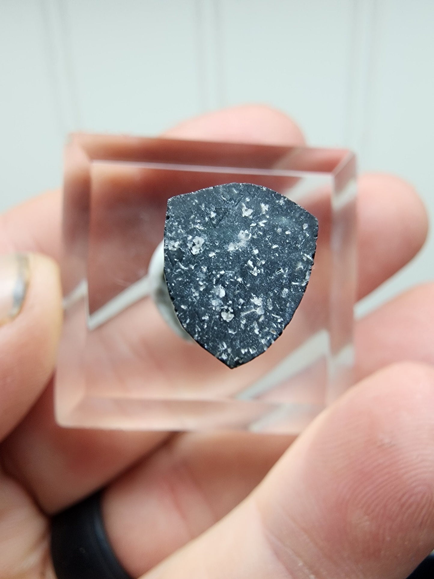 Tourmaline Crystal from Aricanga mine, Minas Gerais, Brazil