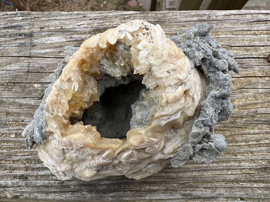 Calcite in Fossilized Clam from Rucks' Pit Florida USA