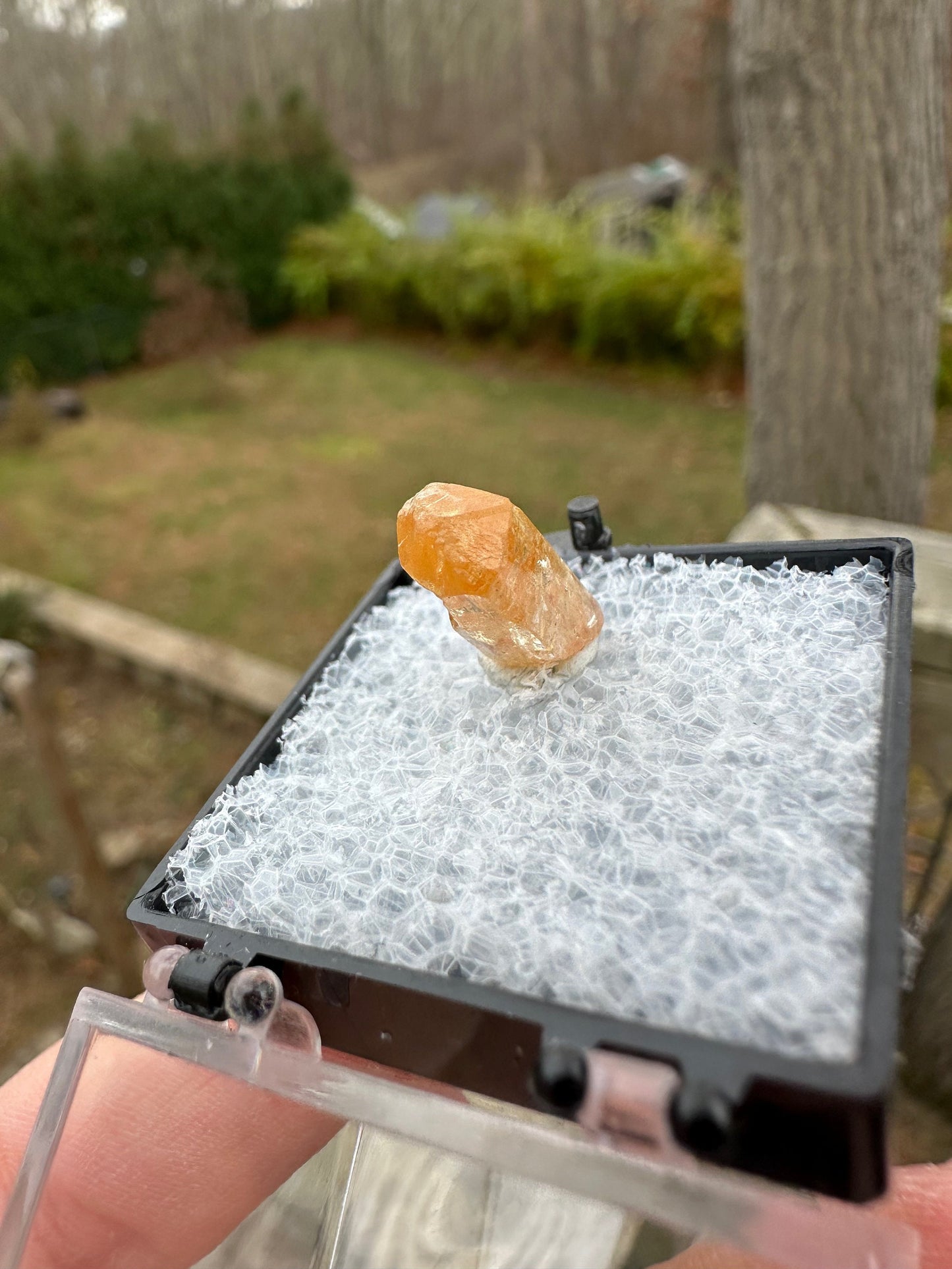 Imperial Topaz Crystal from Brazil