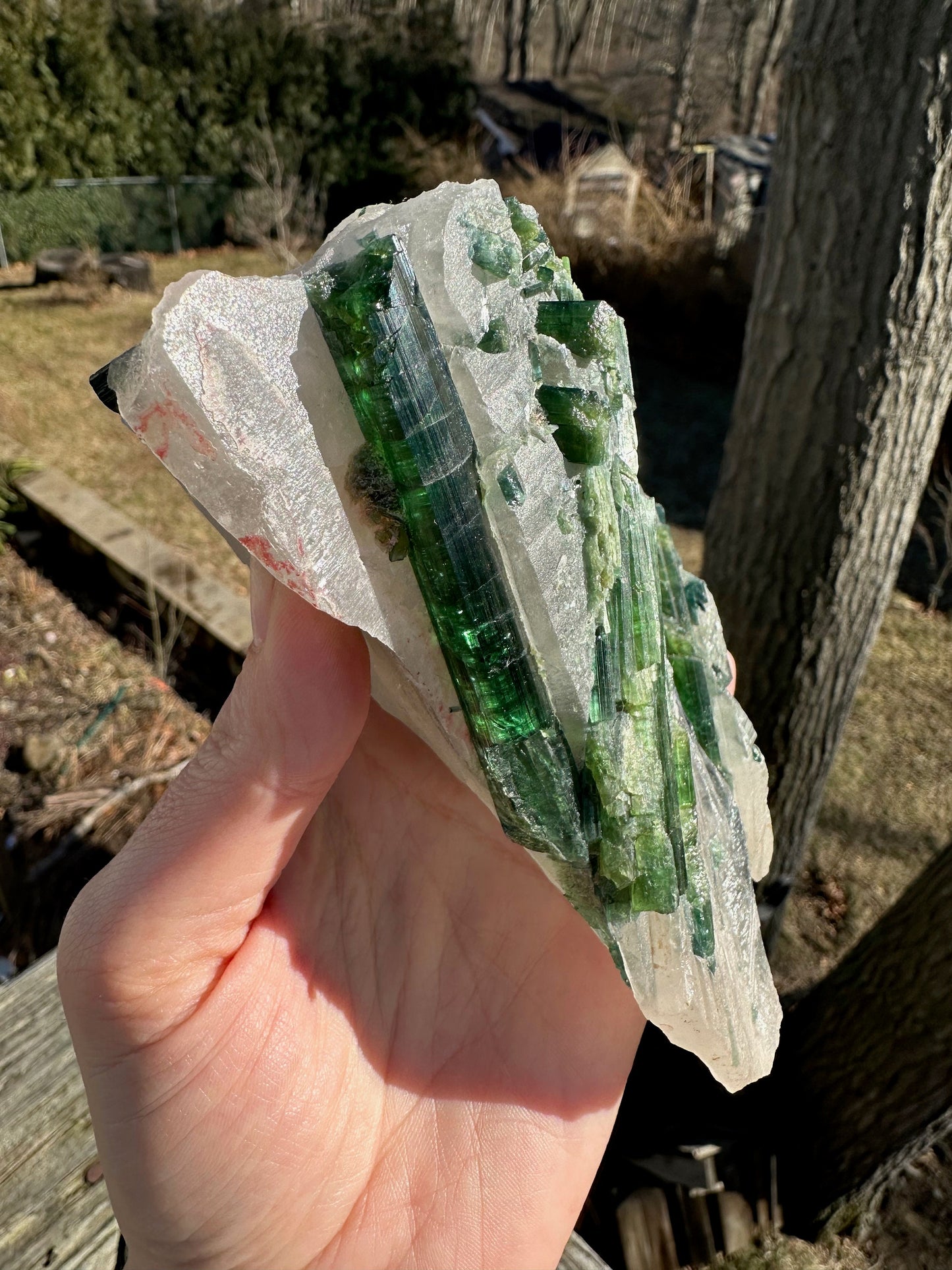 Large Cabinet Tourmaline in Quartz from Minas Gerais, Brazil