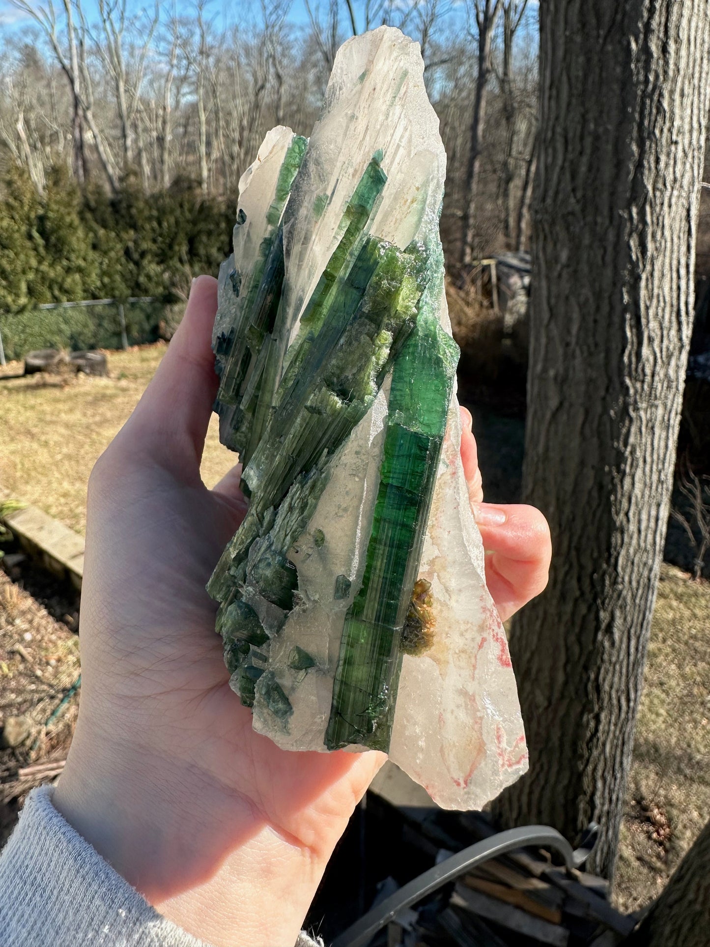 Large Cabinet Tourmaline in Quartz from Minas Gerais, Brazil