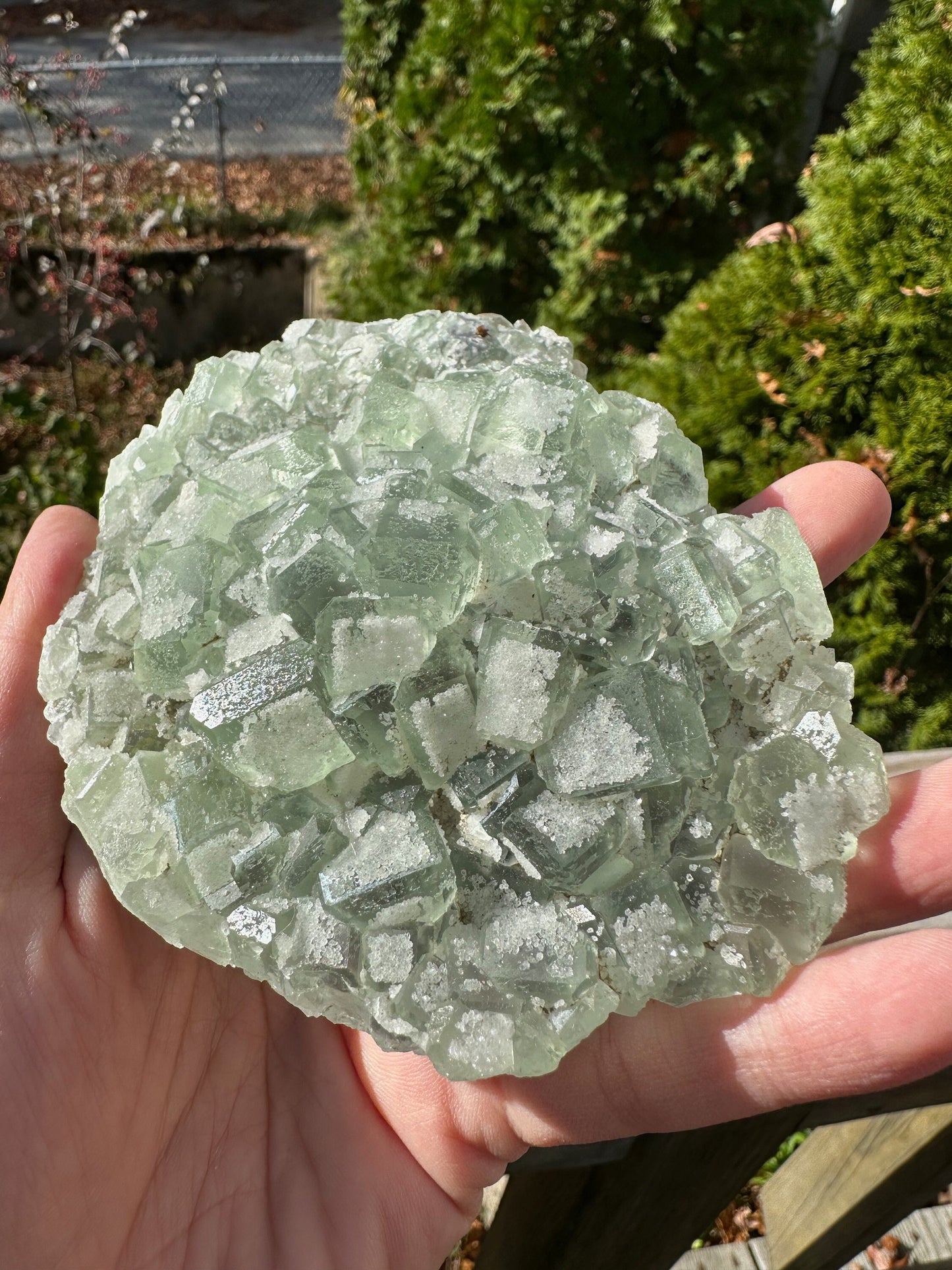 Green Sugar Coated Fluorite from China
