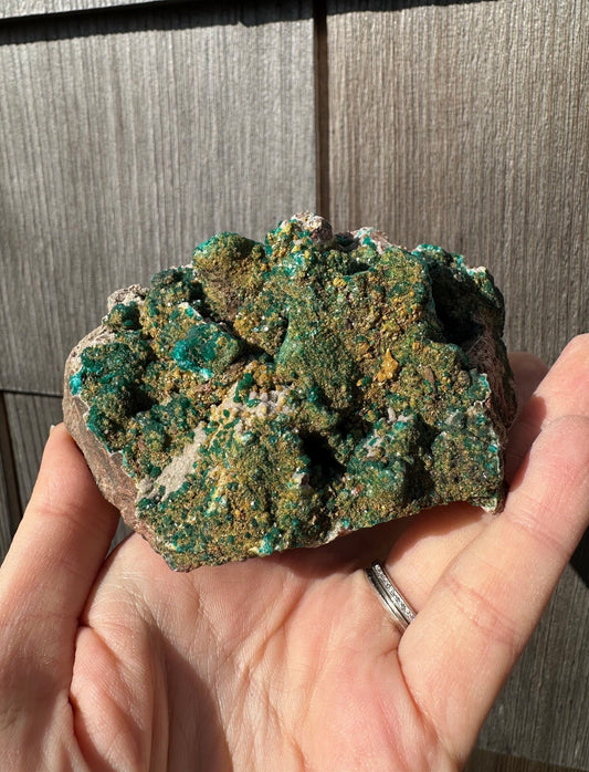 Cabinet Dioptase with Mimetite from Congo