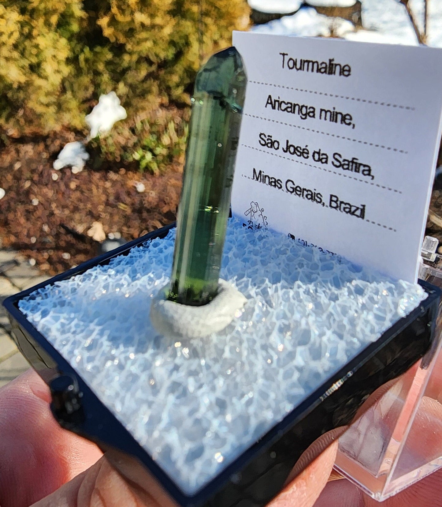 Tourmaline Crystal from Aricanga mine, Minas Gerais, Brazil